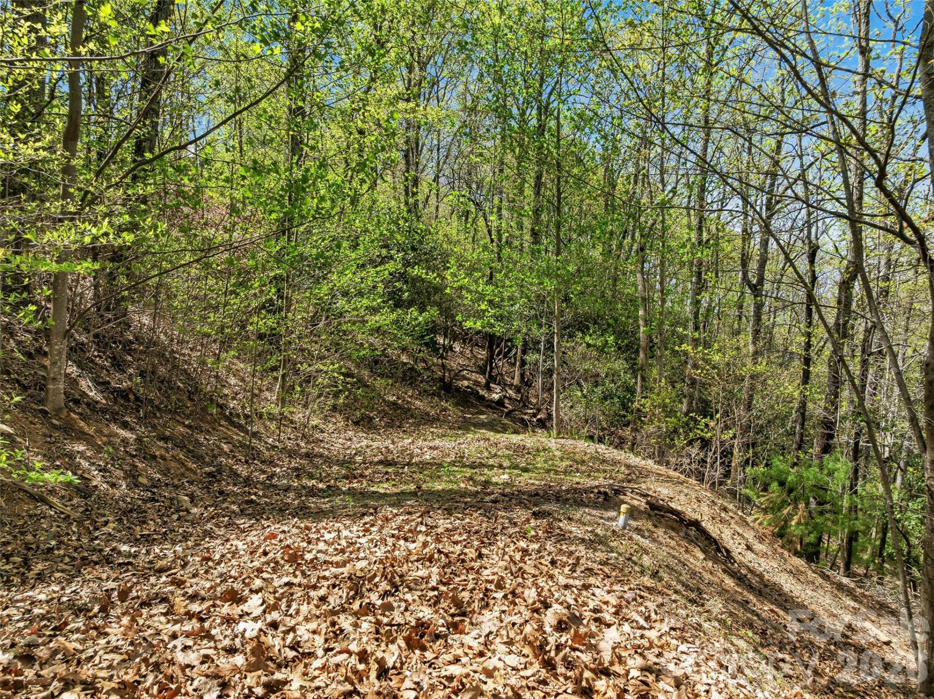27 Deer Grass Court - Photo 9