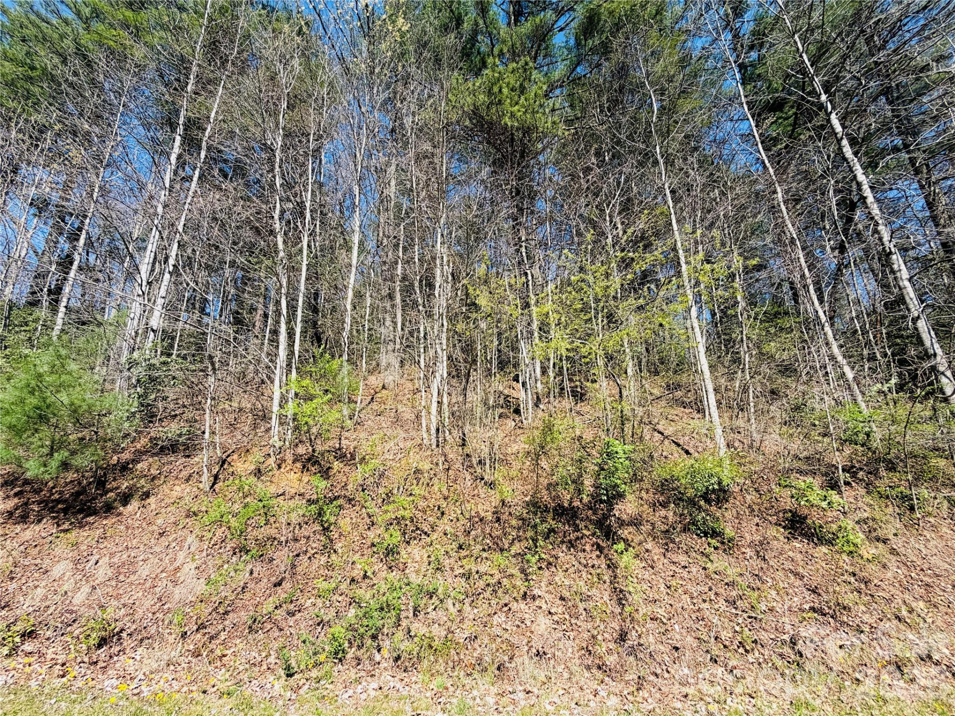 0000 Rock Creek Road - Photo 7