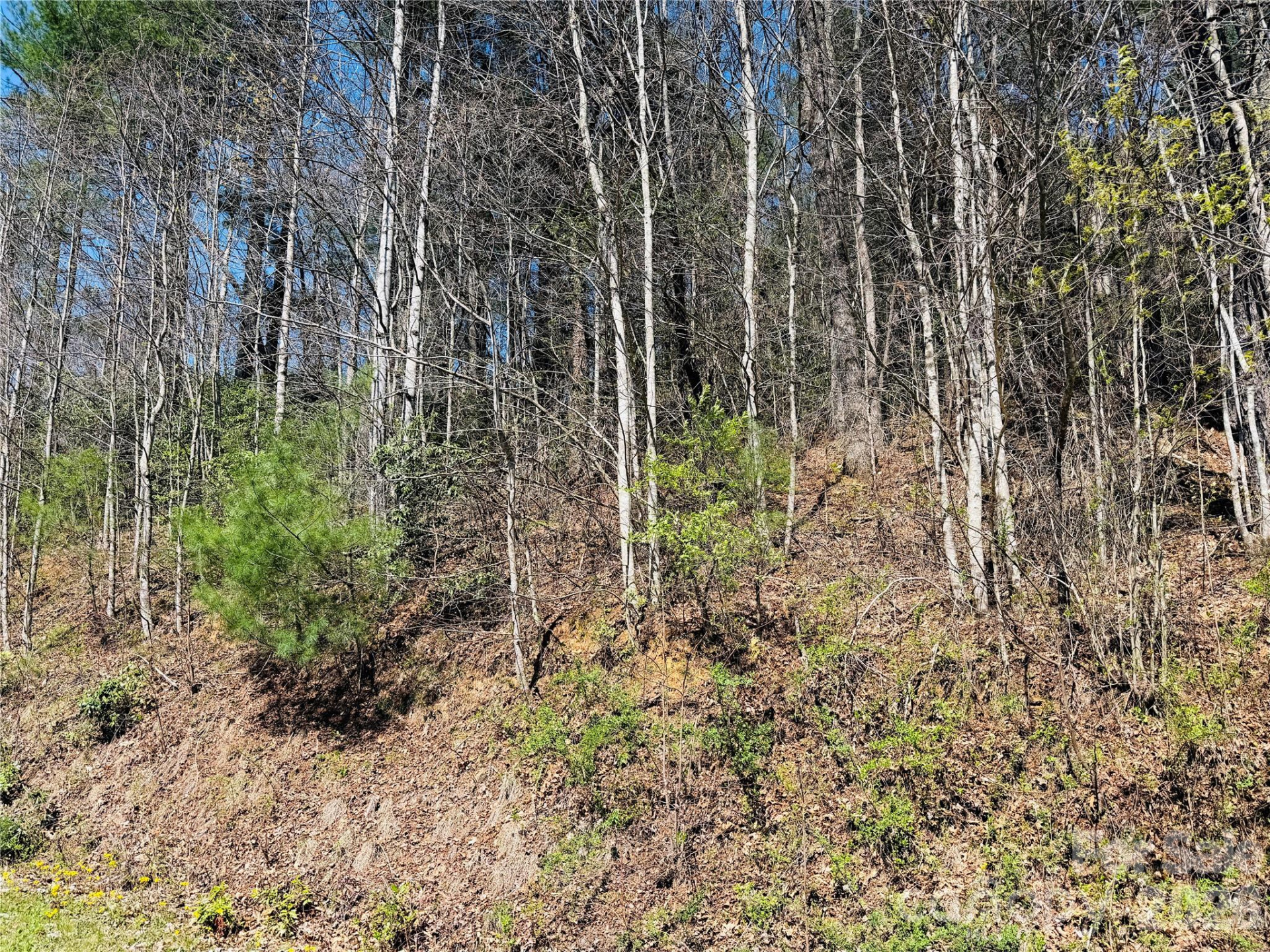 0000 Rock Creek Road - Photo 8