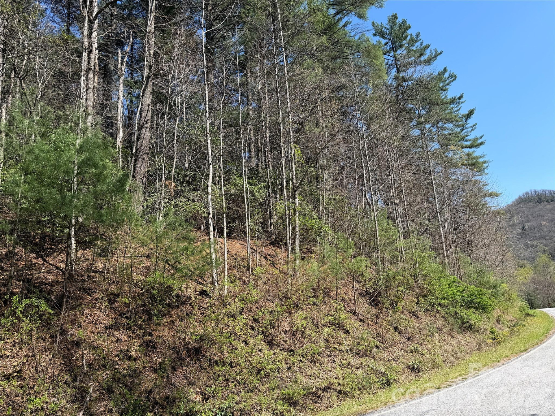 0000 Rock Creek Road - Photo 9