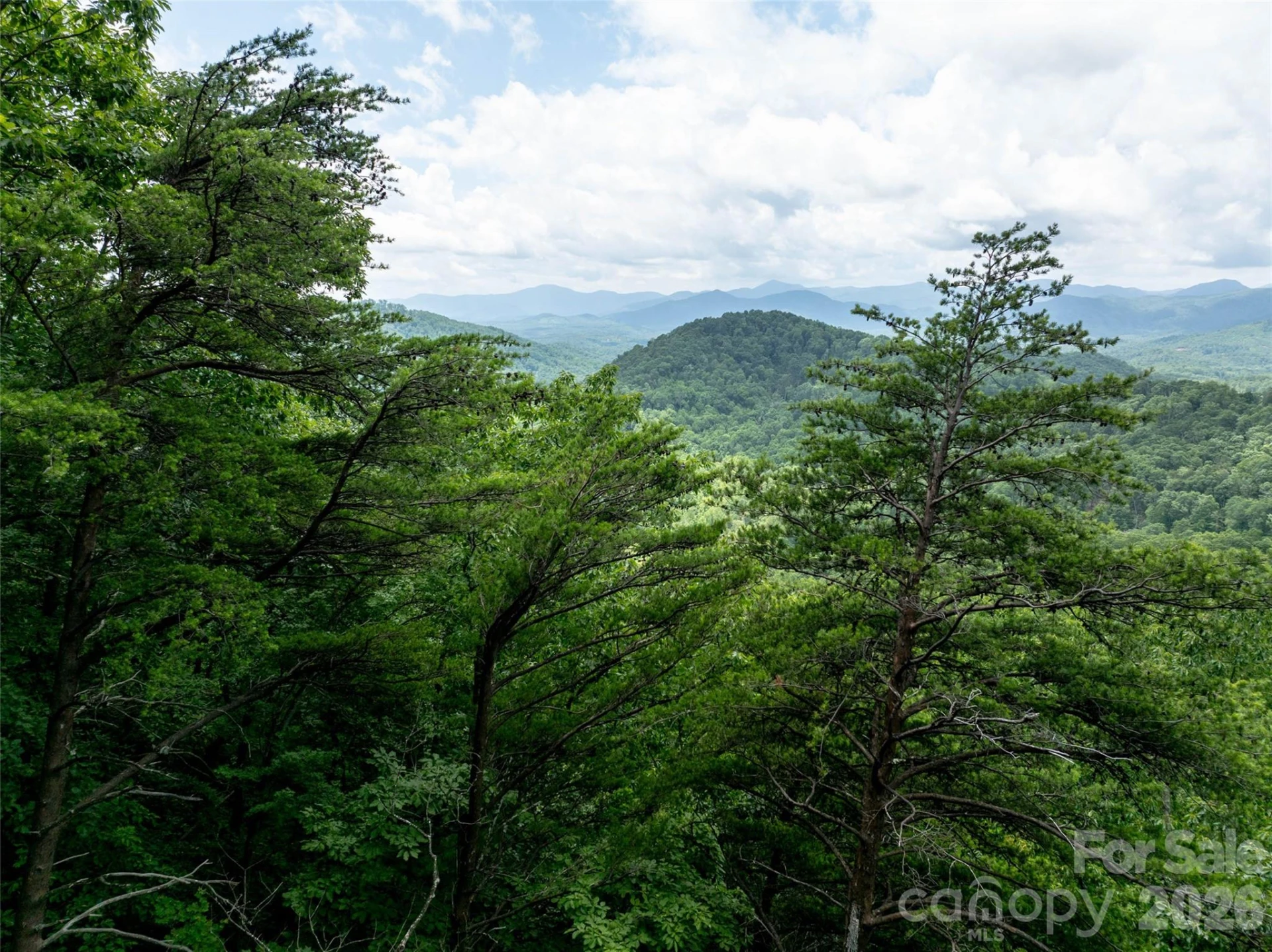 309 Doubleview Drive - Photo 39