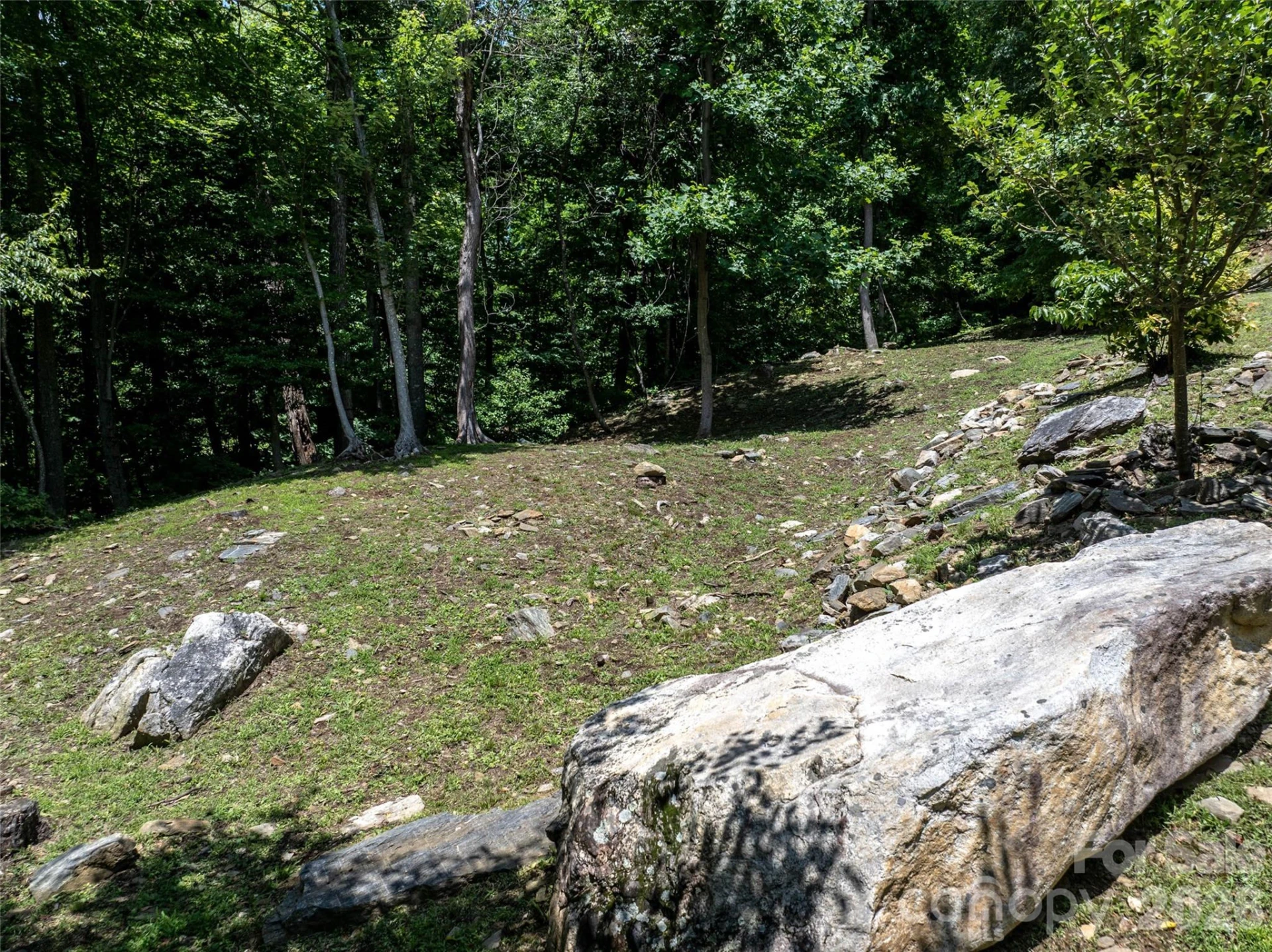 309 Doubleview Drive - Photo 47