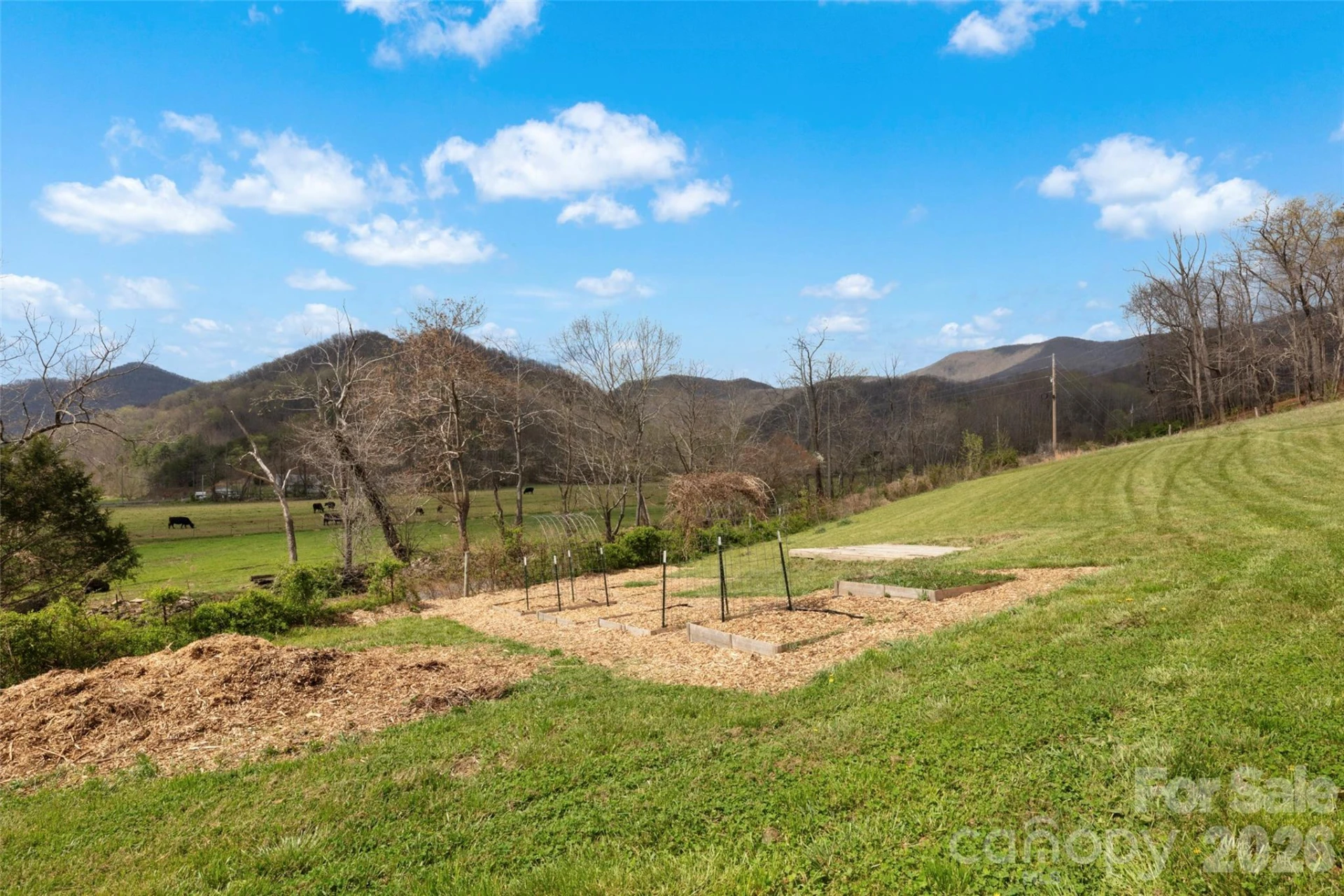 17 Boyd Cove Road - Photo 35