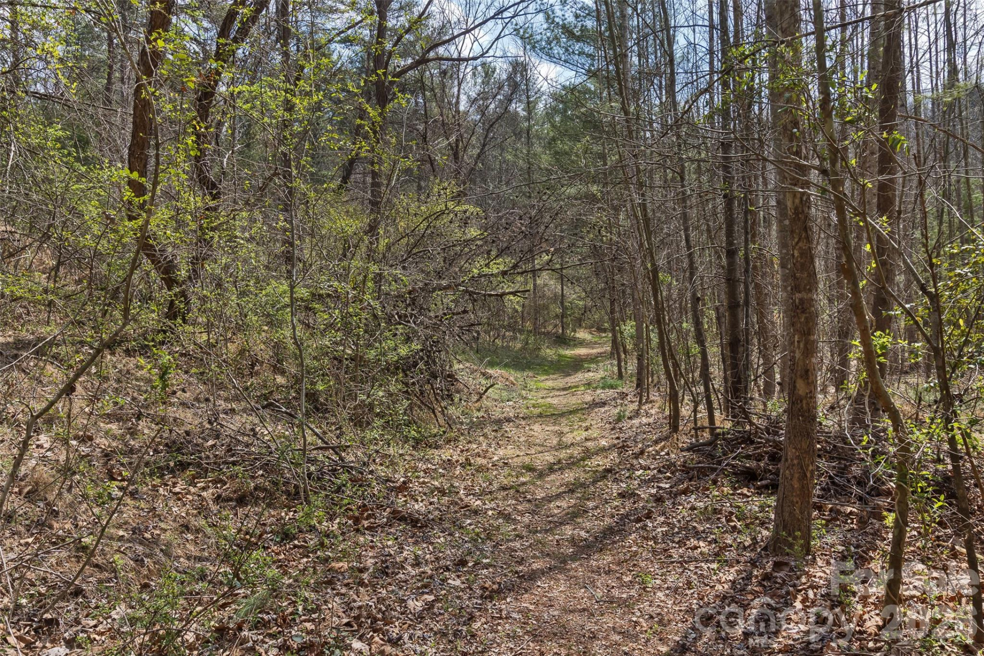 35 Pinebrook Club Drive - Photo 41