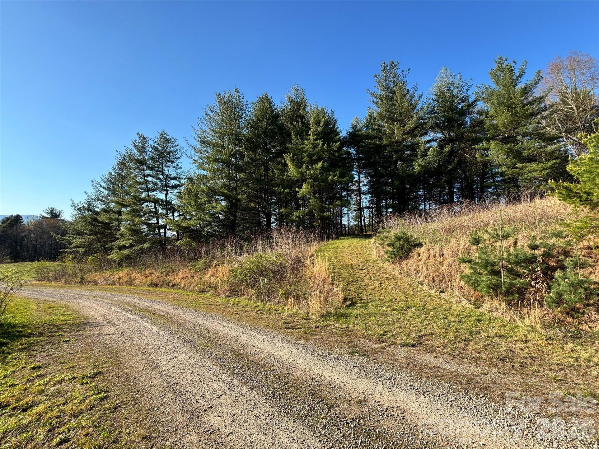 24 Dream Valley Drive #24 - Photo 2