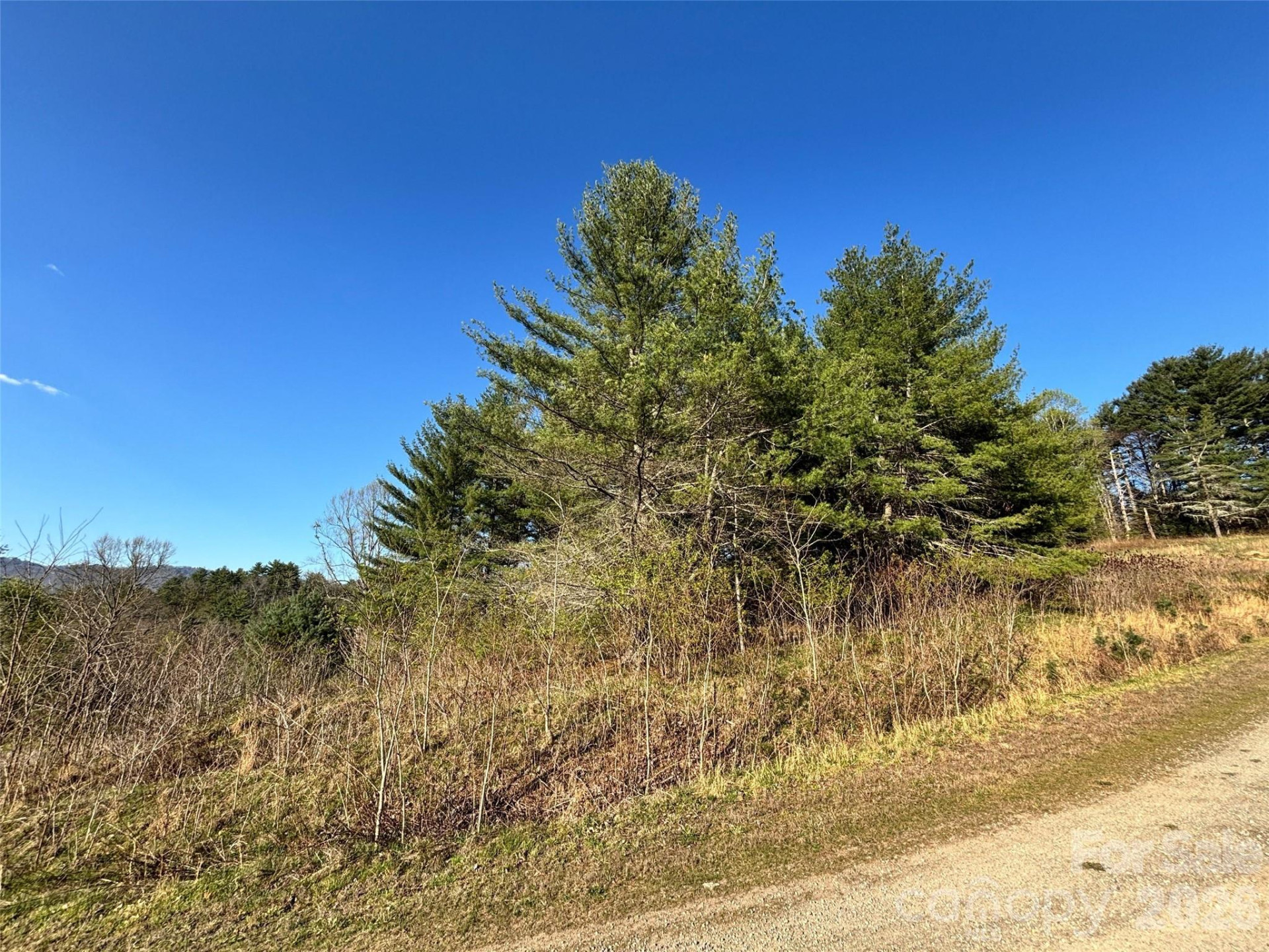 24 Dream Valley Drive #24 - Photo 11