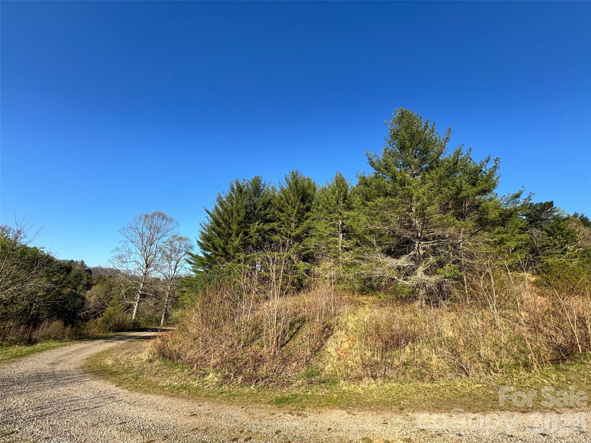 24 Dream Valley Drive #24 - Photo 12