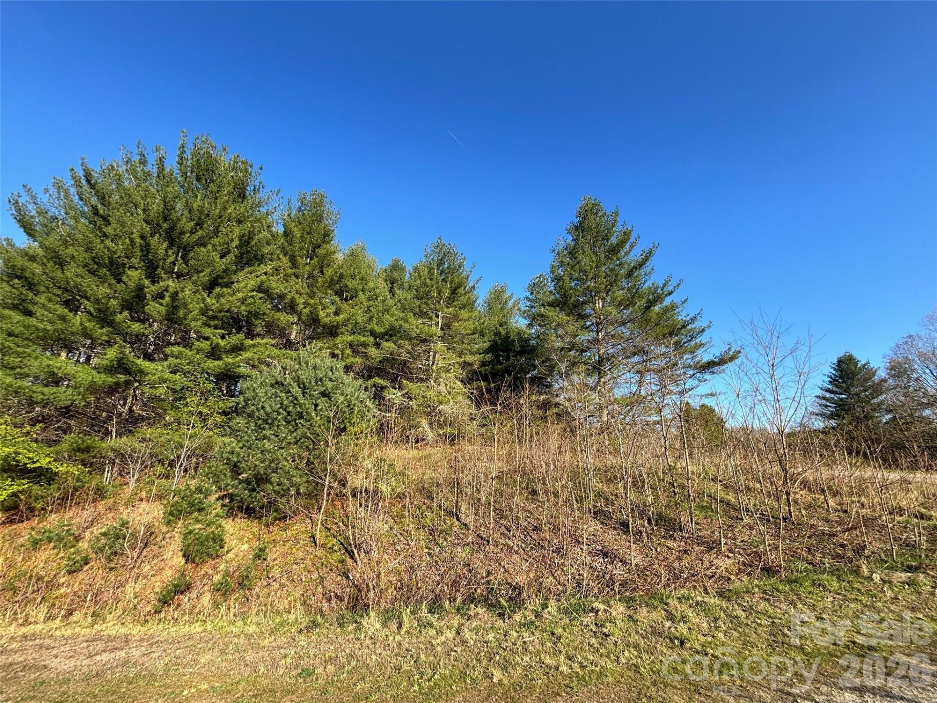 24 Dream Valley Drive #24 - Photo 13