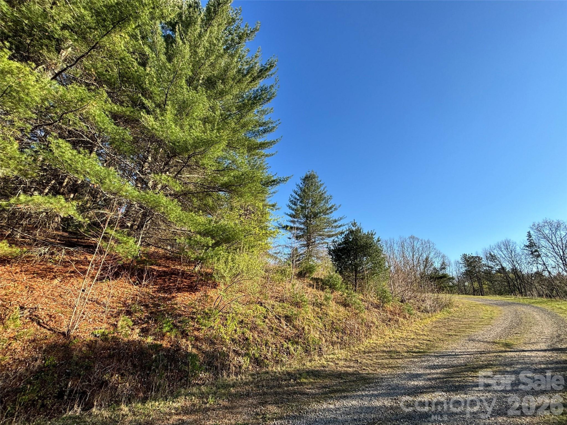 24 Dream Valley Drive #24 - Photo 14