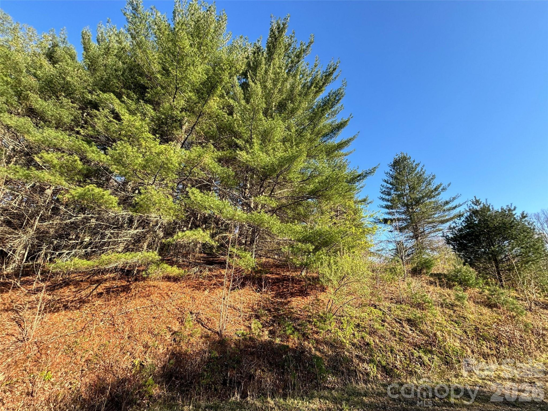 24 Dream Valley Drive #24 - Photo 15