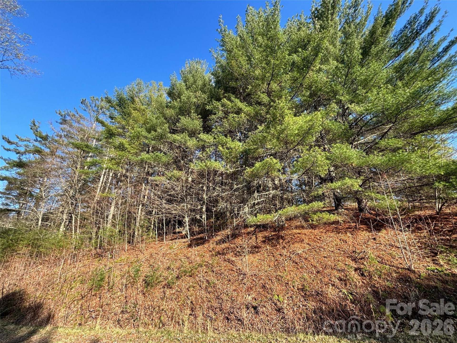 24 Dream Valley Drive #24 - Photo 16