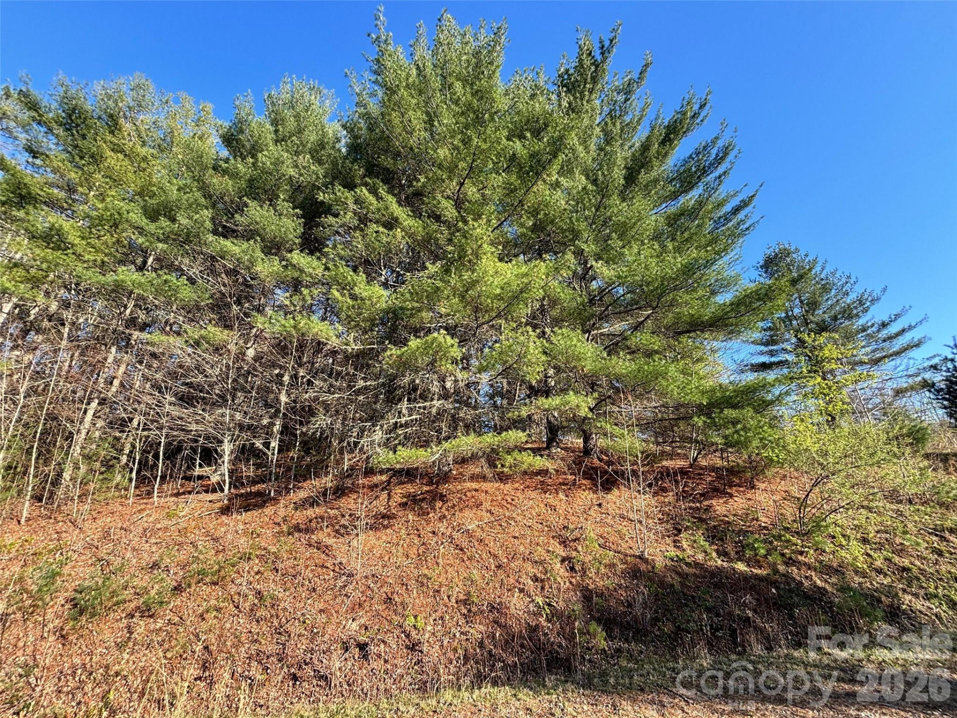 24 Dream Valley Drive #24 - Photo 17