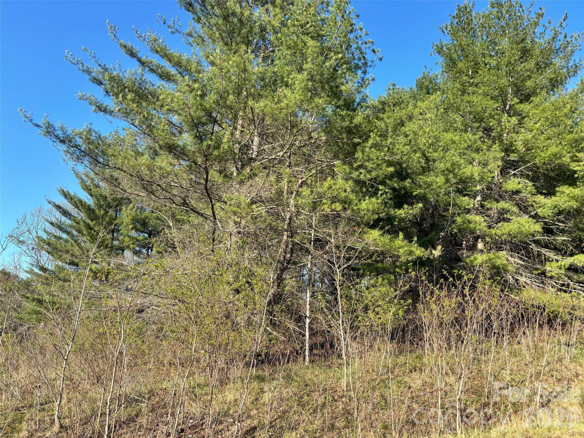 24 Dream Valley Drive #24 - Photo 18