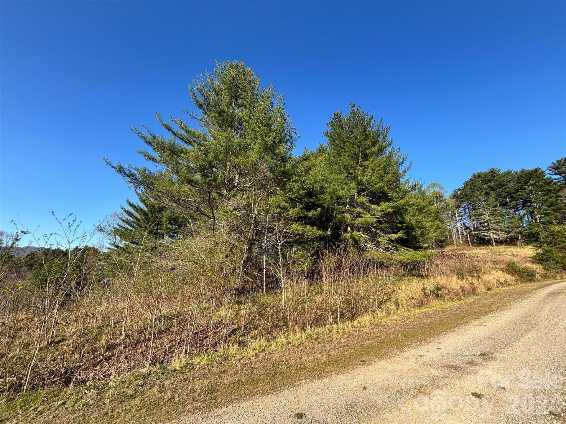 24 Dream Valley Drive #24 - Photo 19