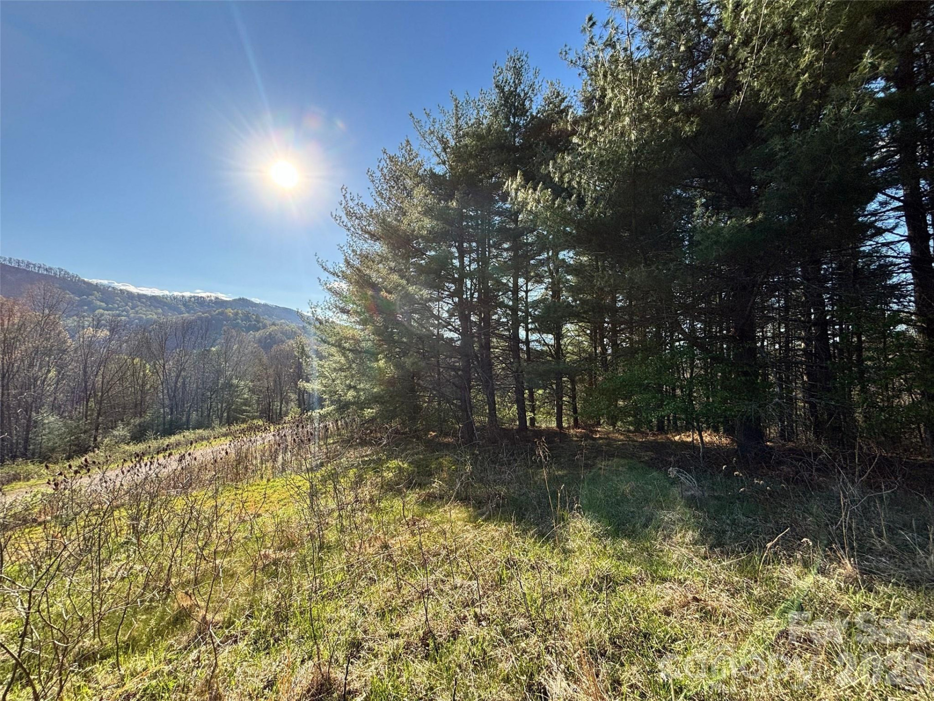 24 Dream Valley Drive #24 - Photo 3