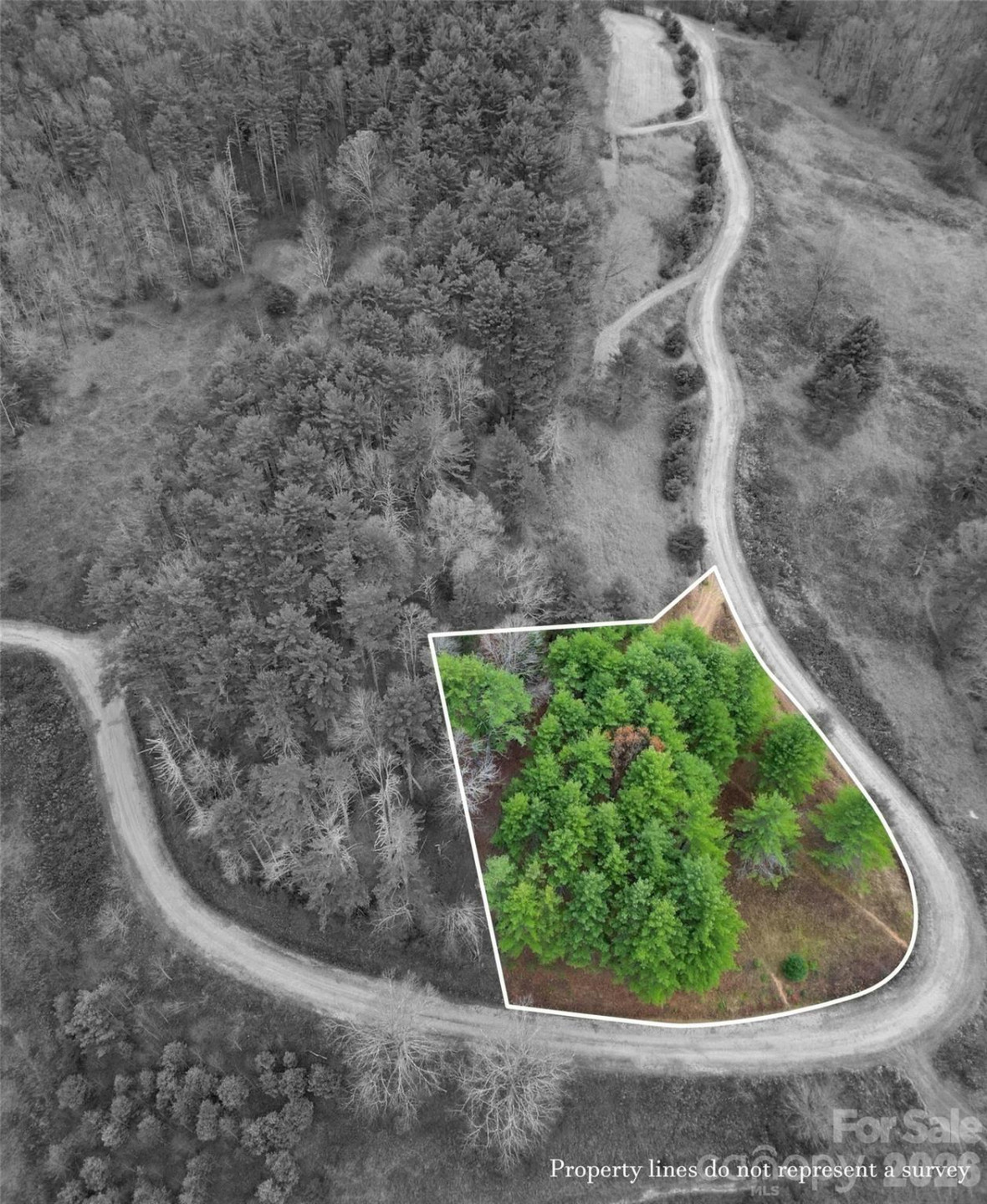 24 Dream Valley Drive #24 - Photo 23