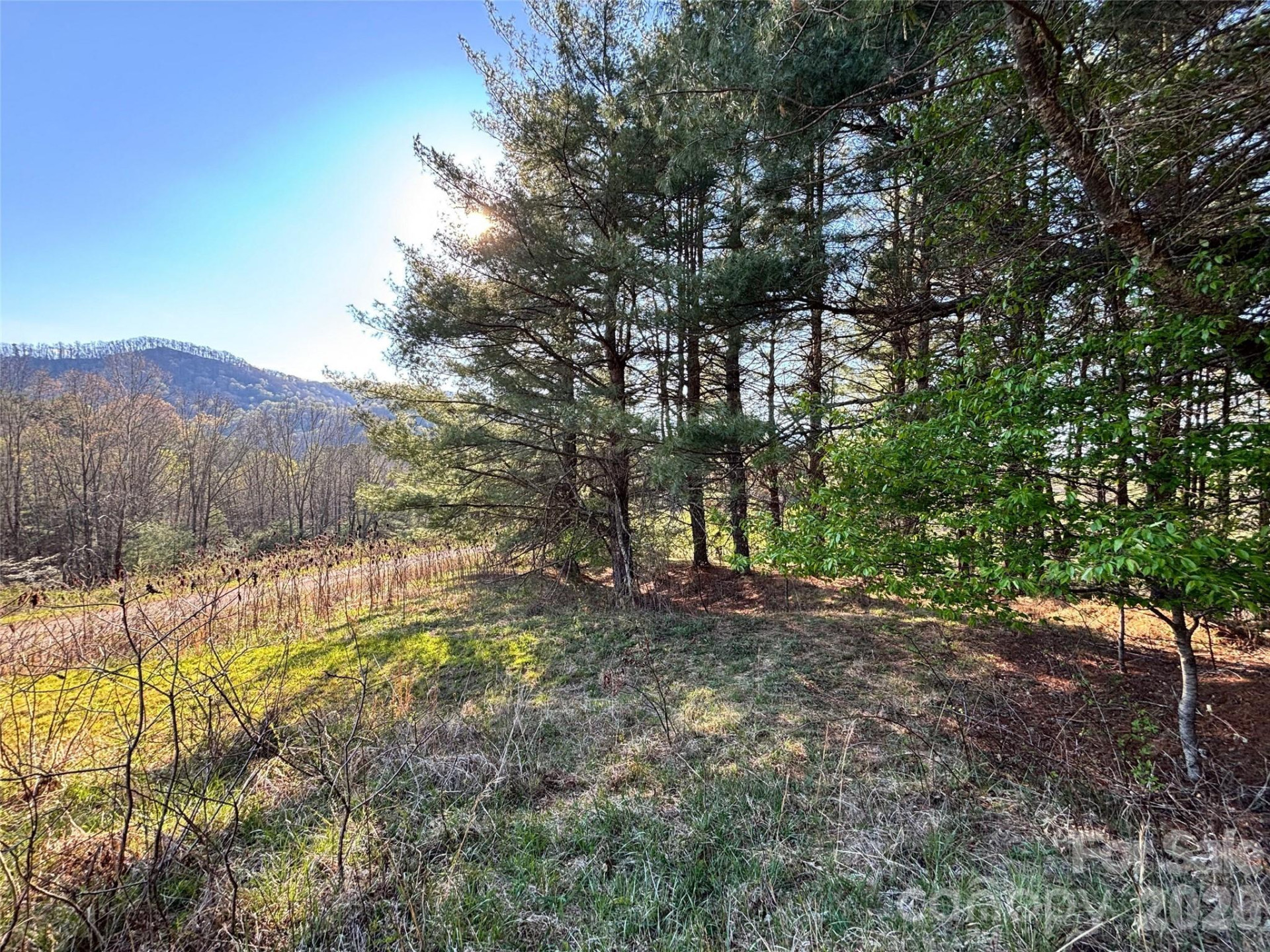 24 Dream Valley Drive #24 - Photo 4