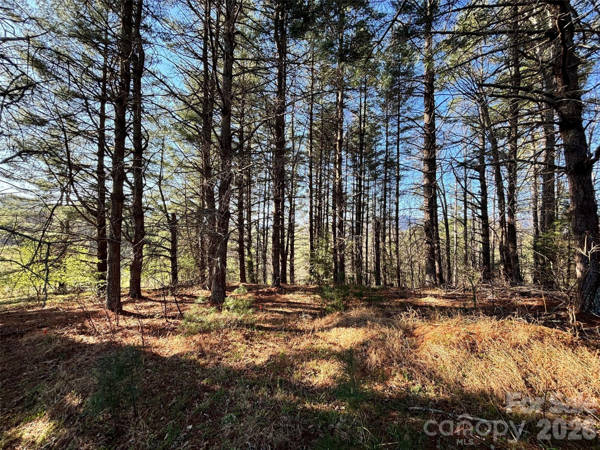 24 Dream Valley Drive #24 - Photo 5