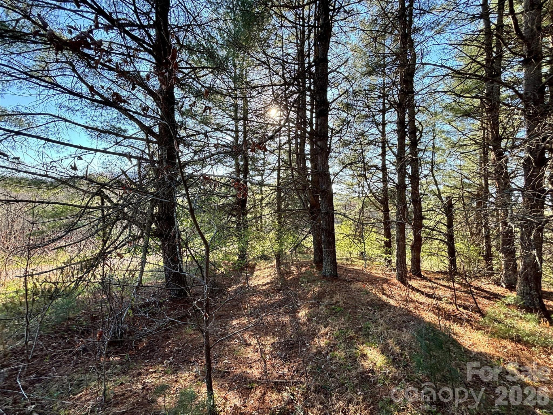 24 Dream Valley Drive #24 - Photo 6