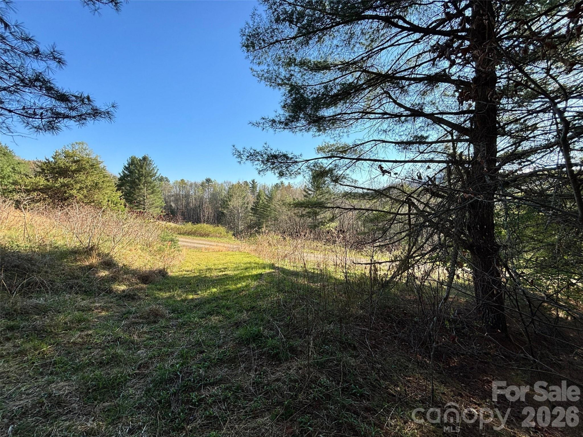 24 Dream Valley Drive #24 - Photo 7