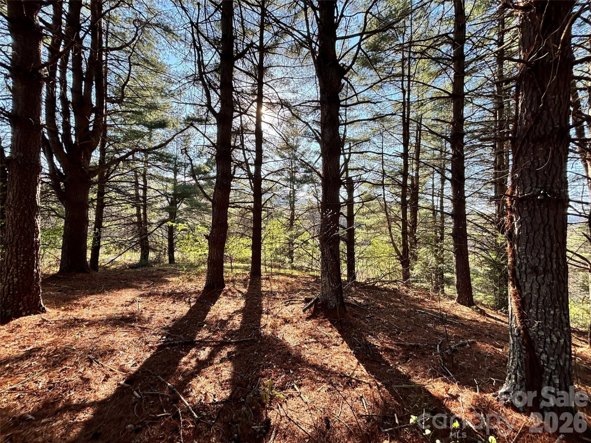 24 Dream Valley Drive #24 - Photo 8