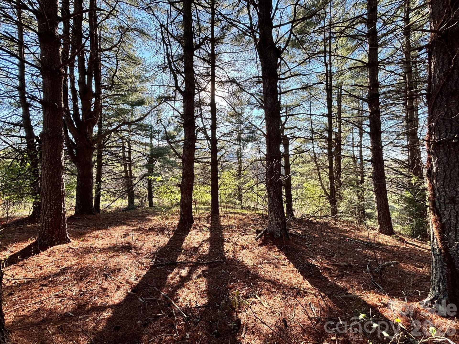 24 Dream Valley Drive #24 - Photo 9