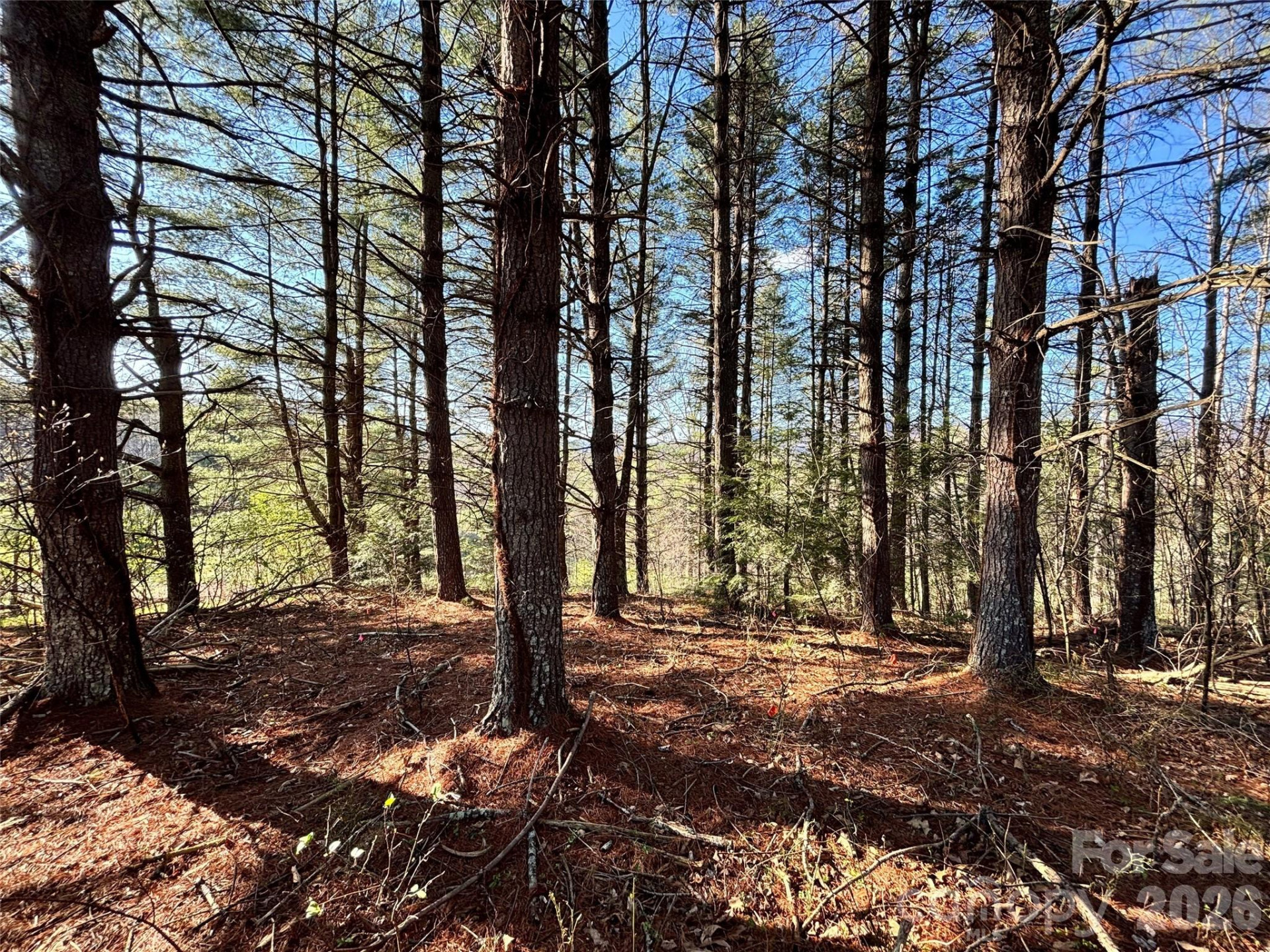 24 Dream Valley Drive #24 - Photo 10