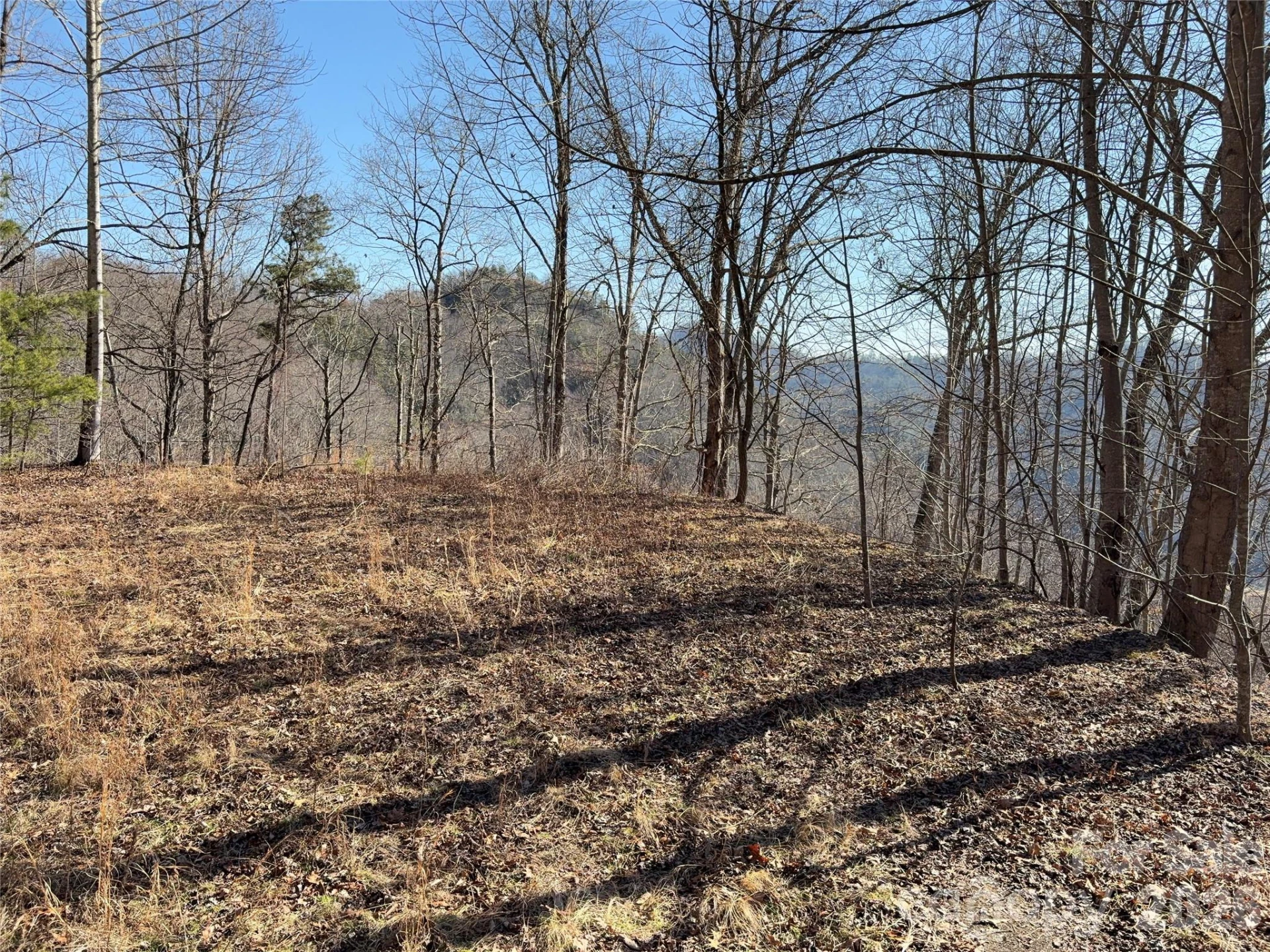 0 Brush Creek Road #37 & 41