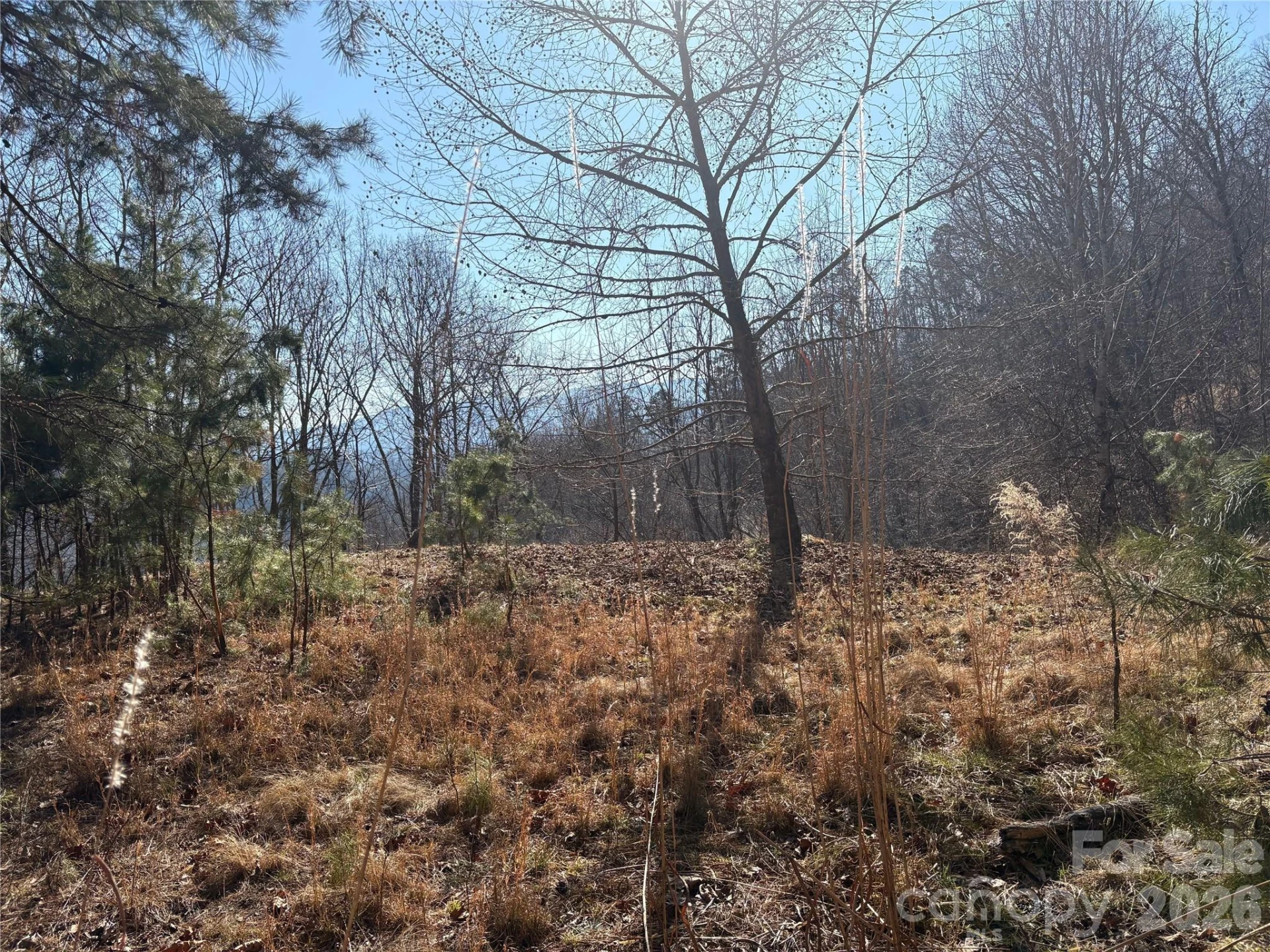 0 Brush Creek Road #37 & 41 - Photo 2