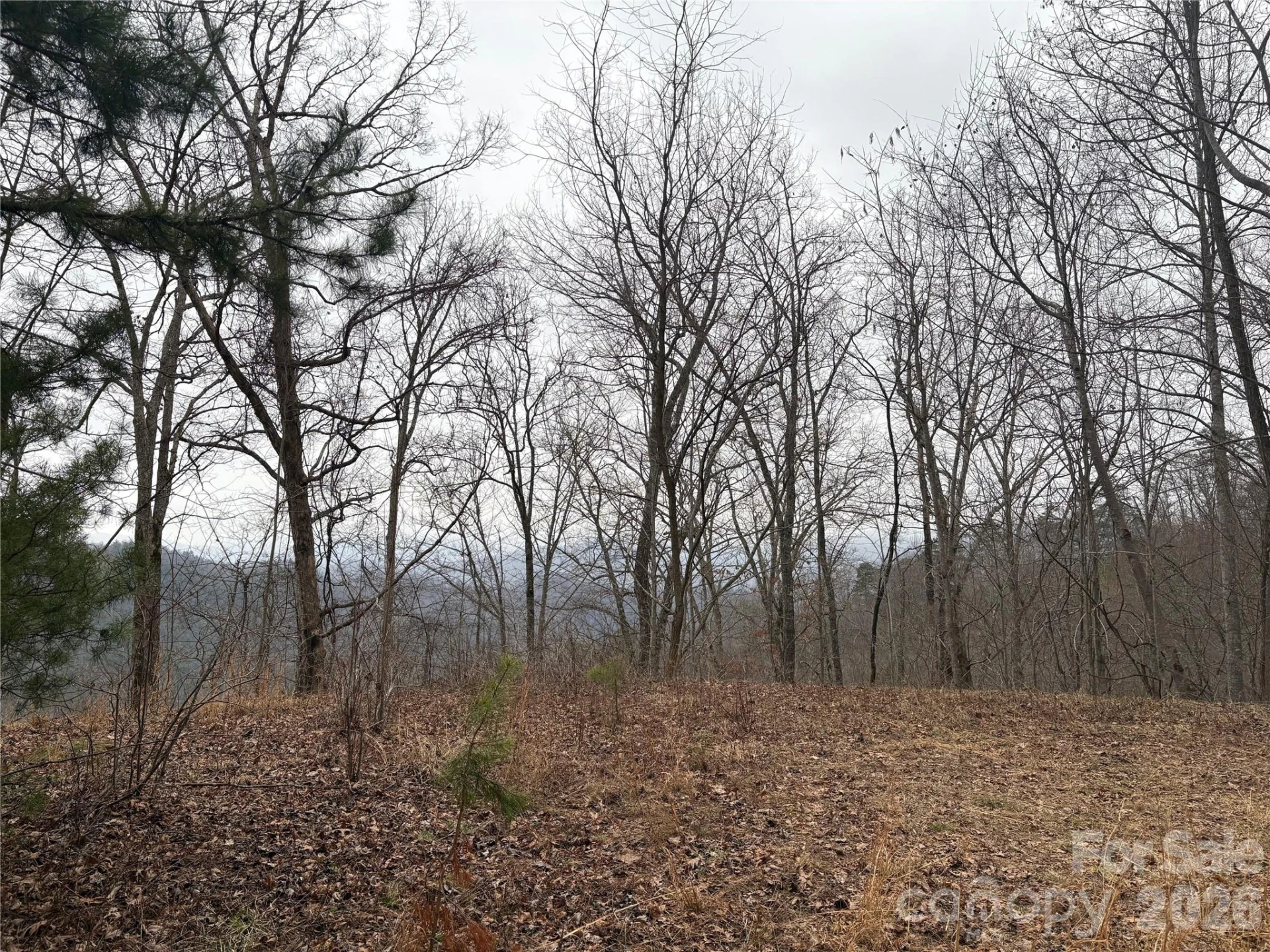 0 Brush Creek Road #37 & 41 - Photo 11