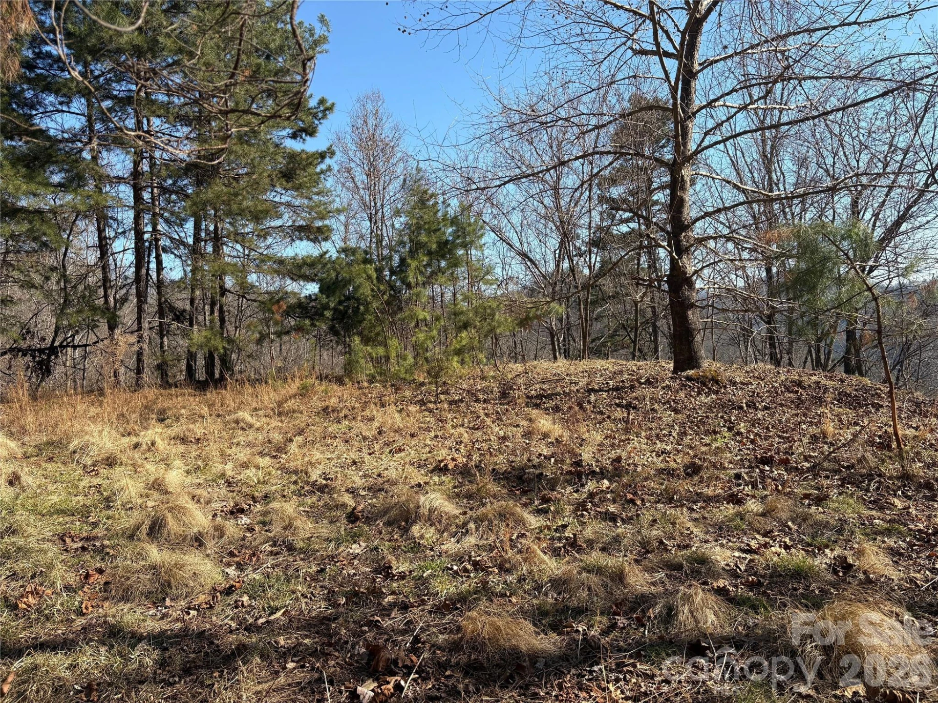 0 Brush Creek Road #37 & 41 - Photo 12