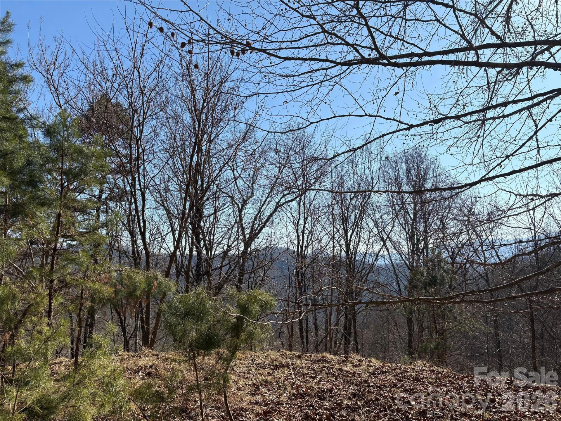 0 Brush Creek Road #37 & 41 - Photo 13
