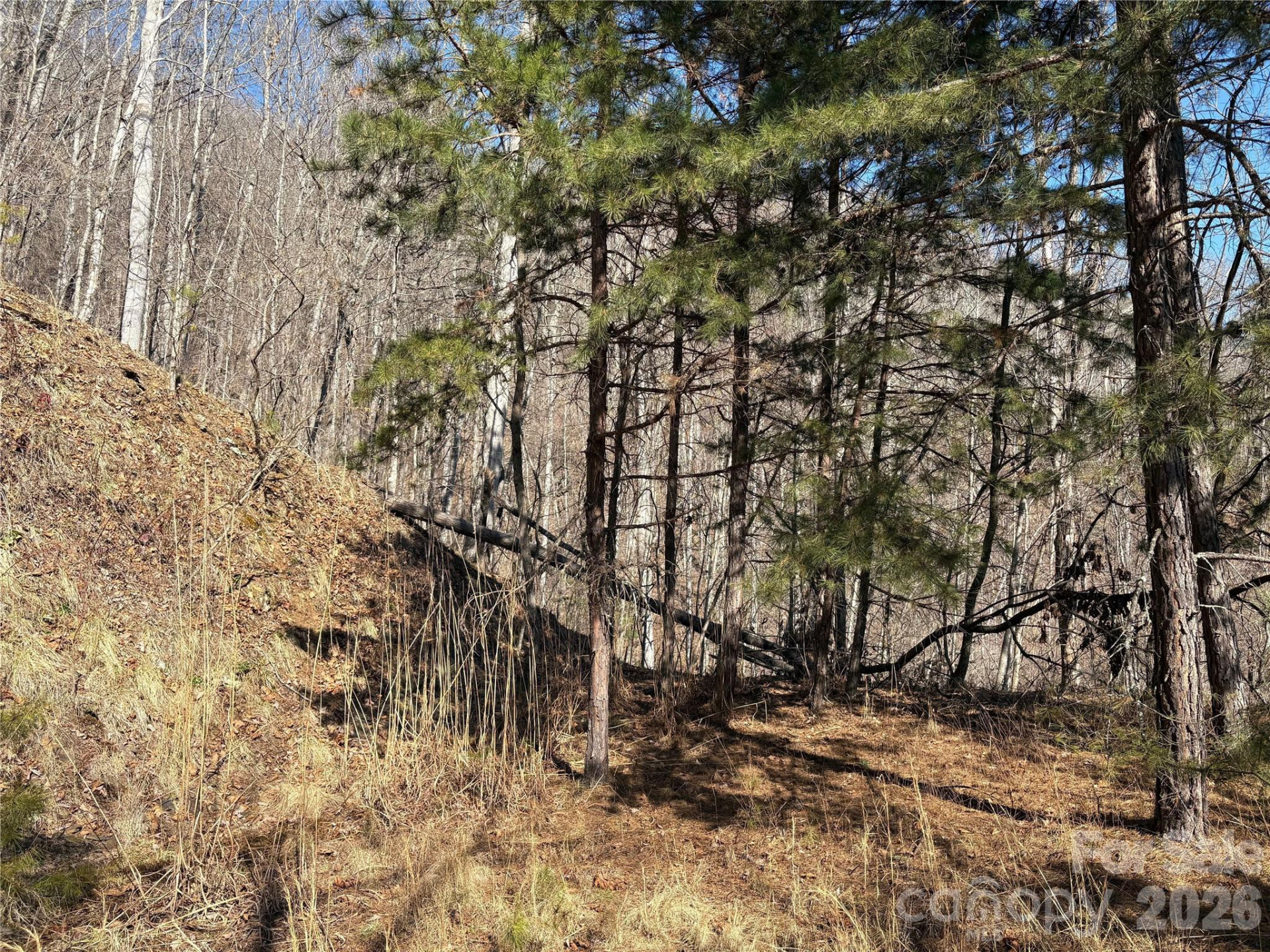 0 Brush Creek Road #37 & 41 - Photo 14