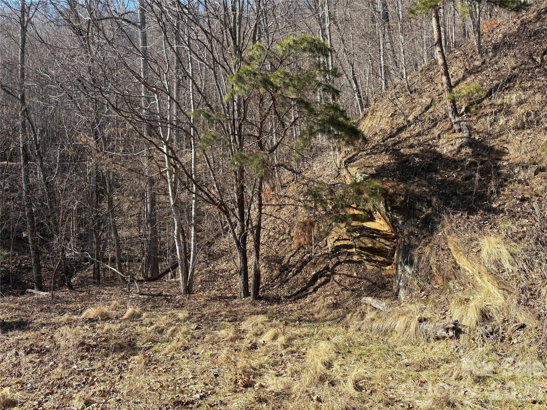 0 Brush Creek Road #37 & 41 - Photo 15