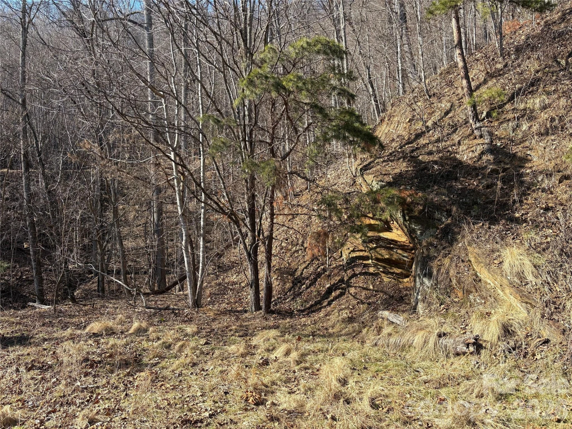 0 Brush Creek Road #37 & 41 - Photo 15