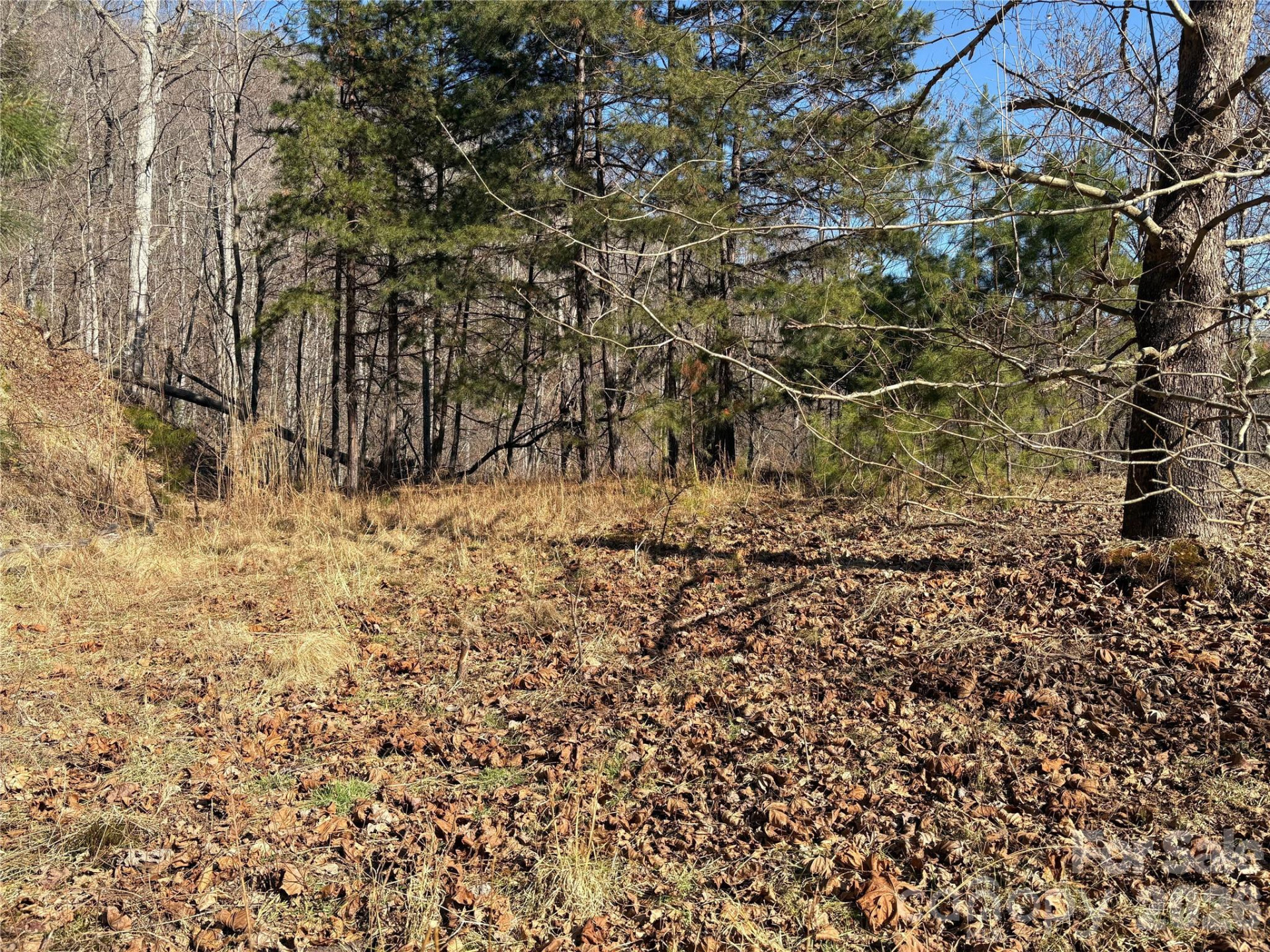 0 Brush Creek Road #37 & 41 - Photo 16