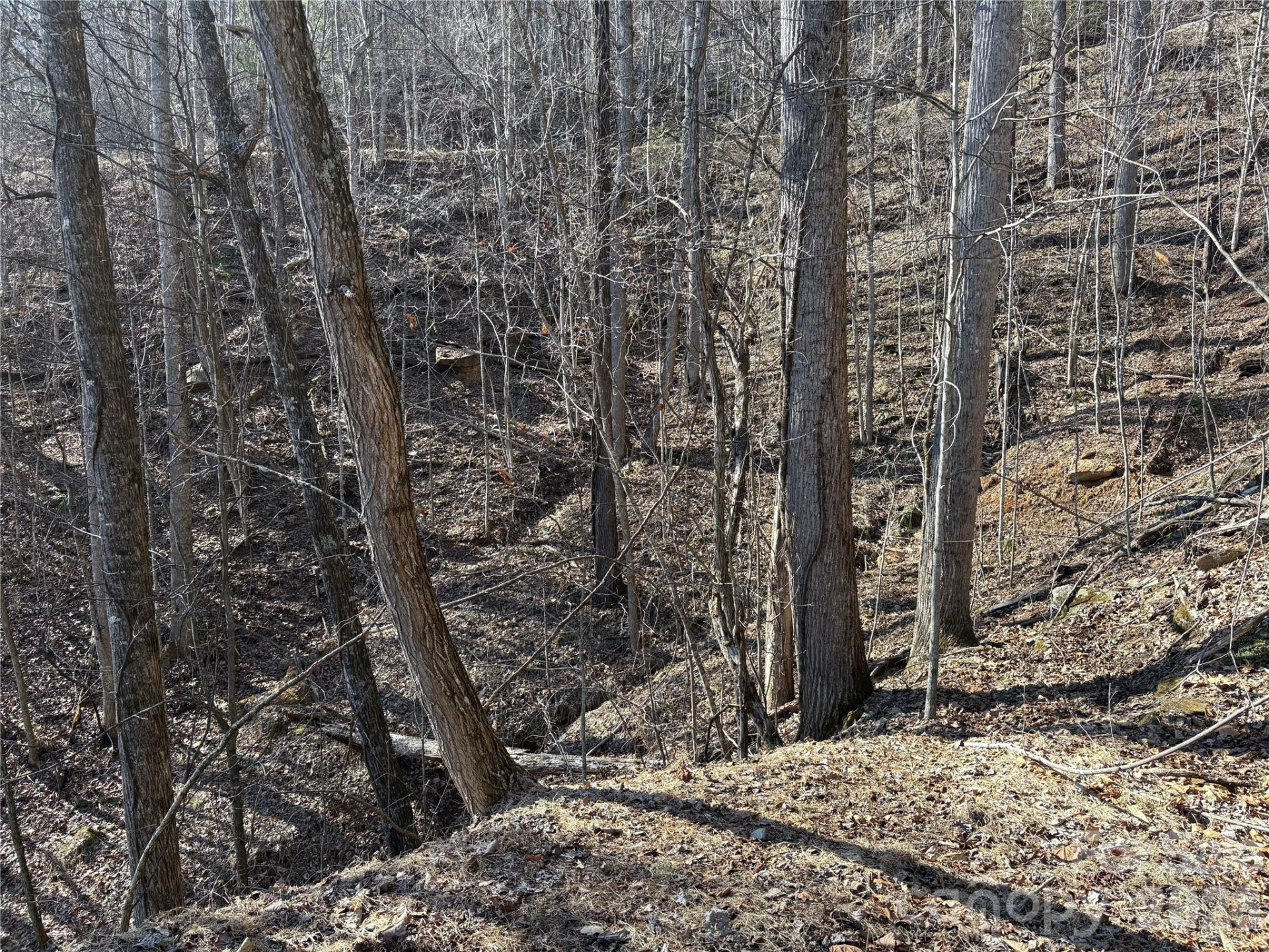 0 Brush Creek Road #37 & 41 - Photo 17