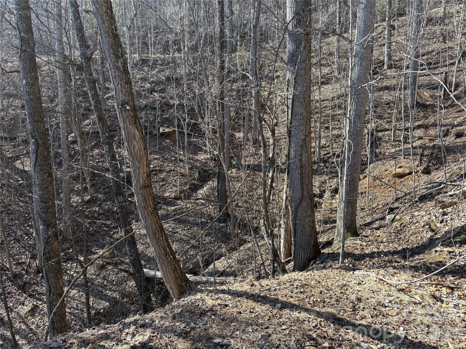 0 Brush Creek Road #37 & 41 - Photo 17