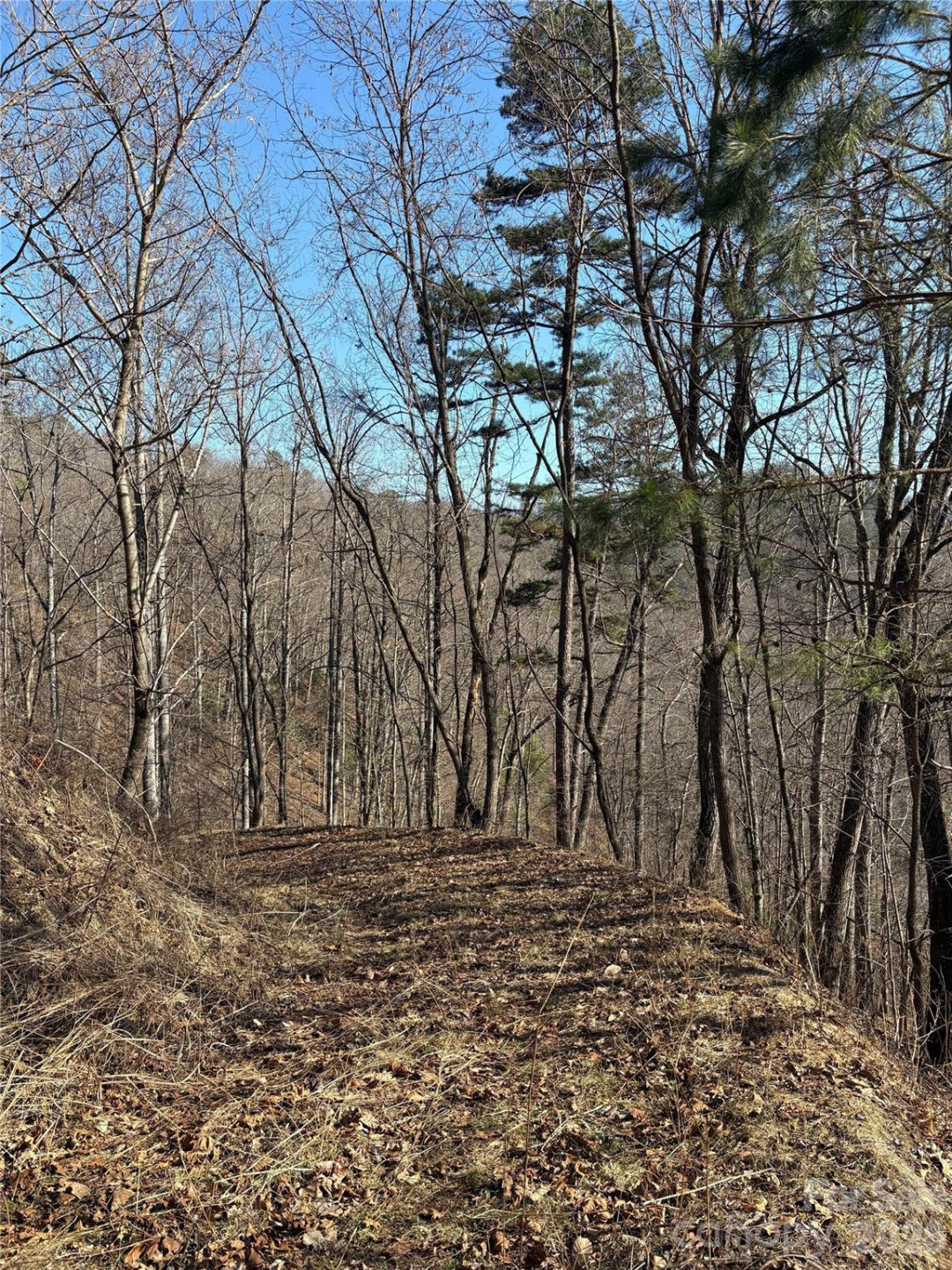 0 Brush Creek Road #37 & 41 - Photo 18