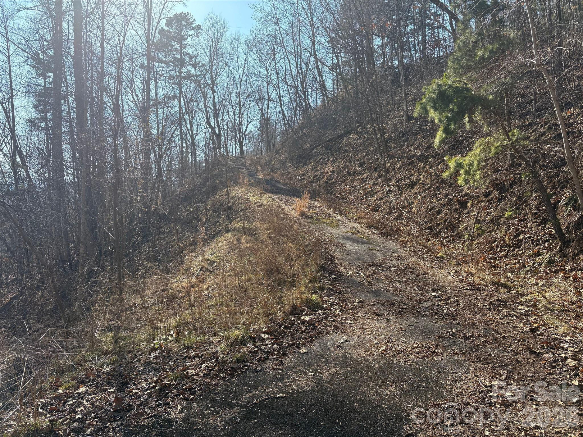 0 Brush Creek Road #37 & 41 - Photo 19