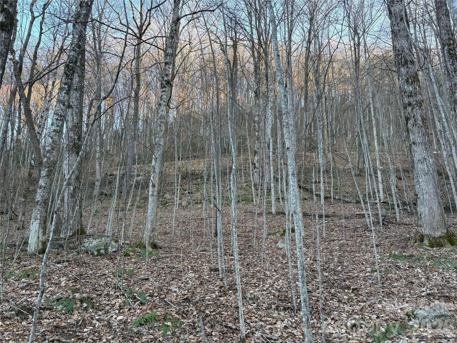 0 Brush Creek Road #37 & 41 - Photo 20