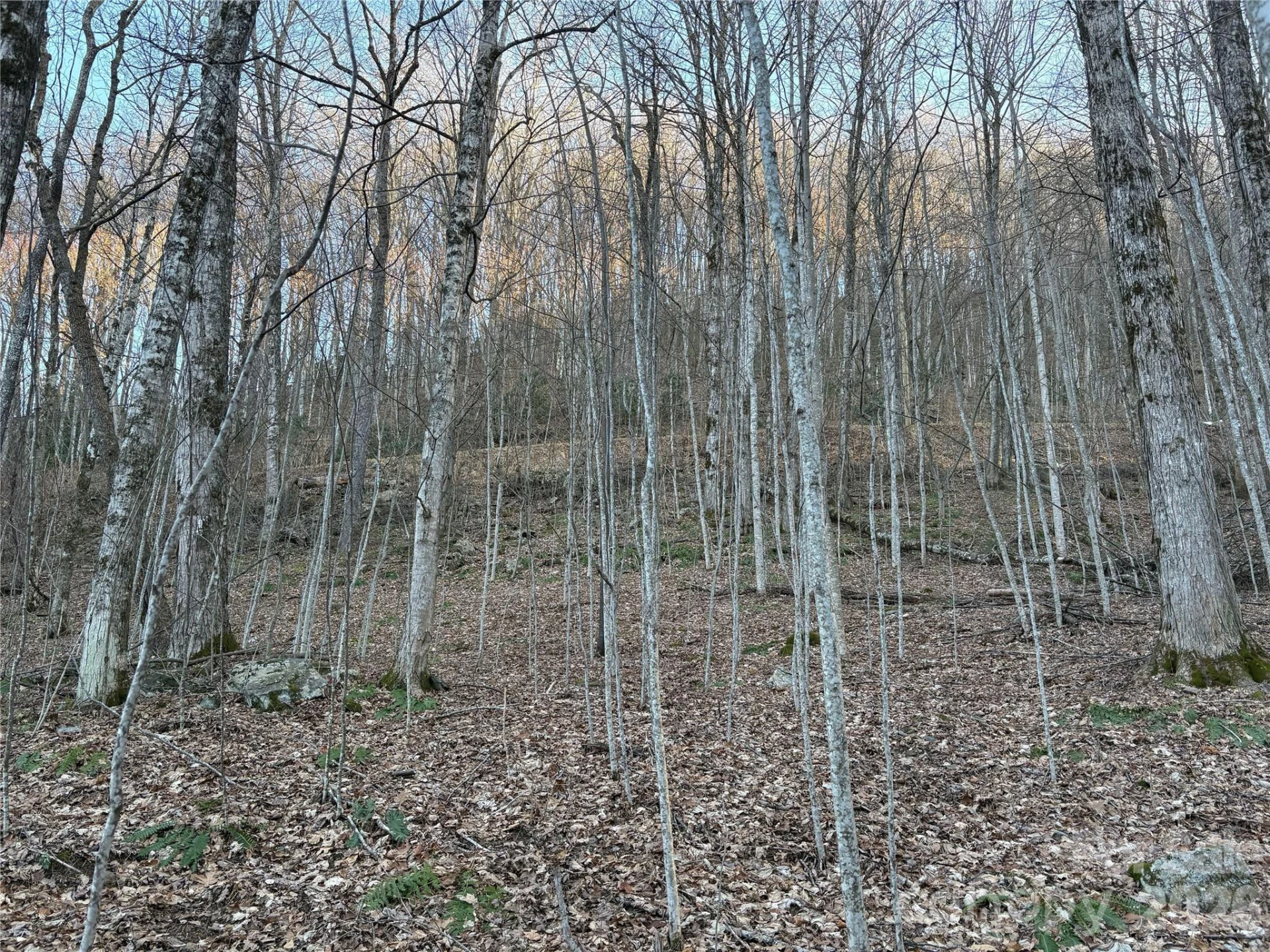 0 Brush Creek Road #37 & 41 - Photo 20