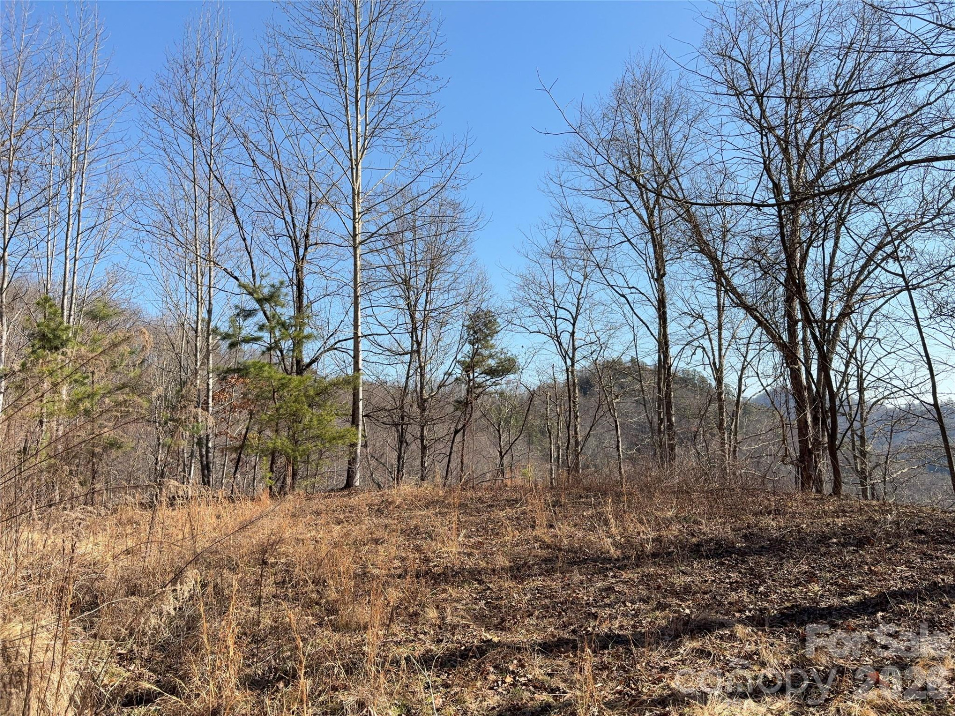 0 Brush Creek Road #37 & 41 - Photo 3