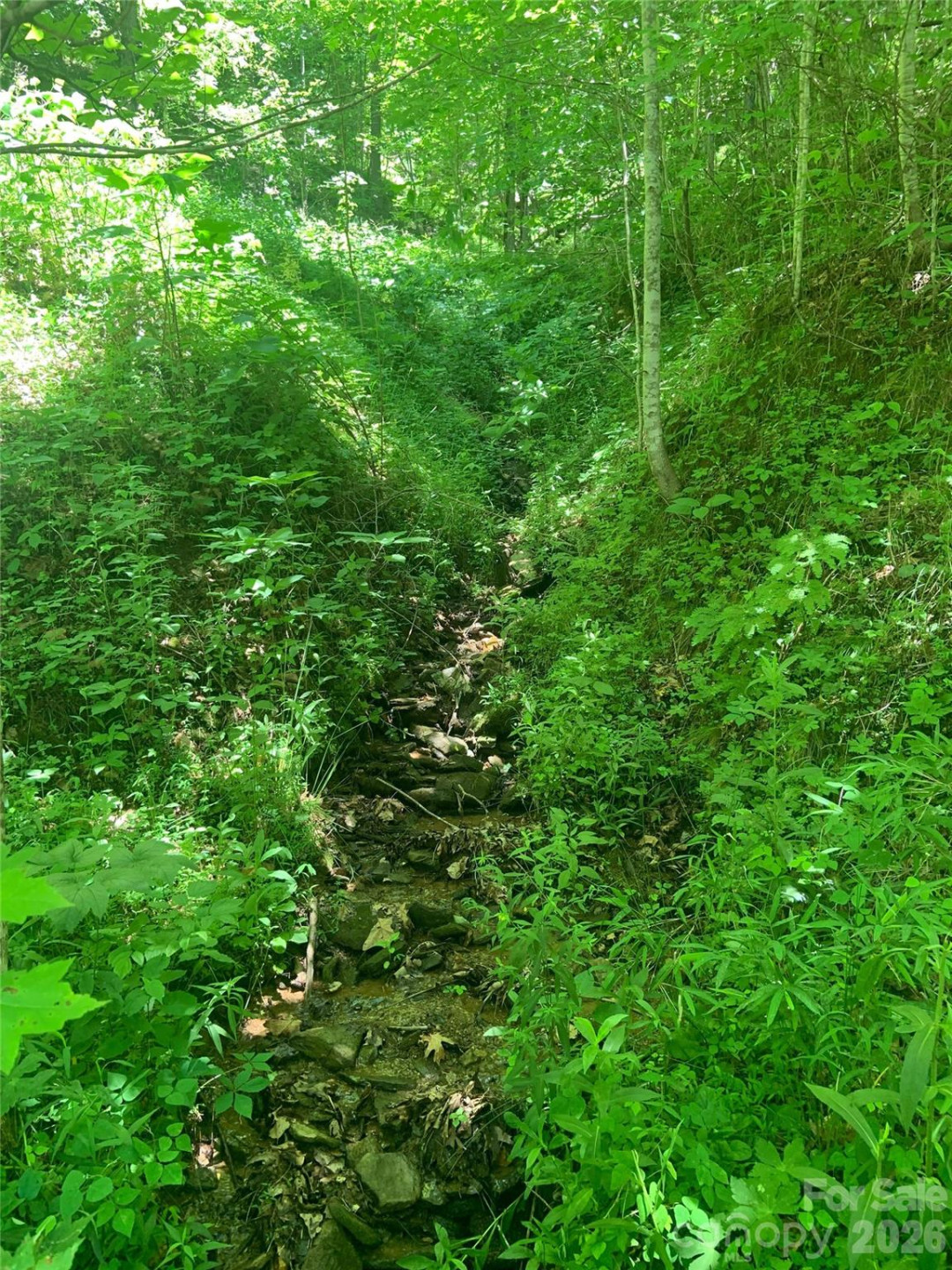 0 Brush Creek Road #37 & 41 - Photo 23