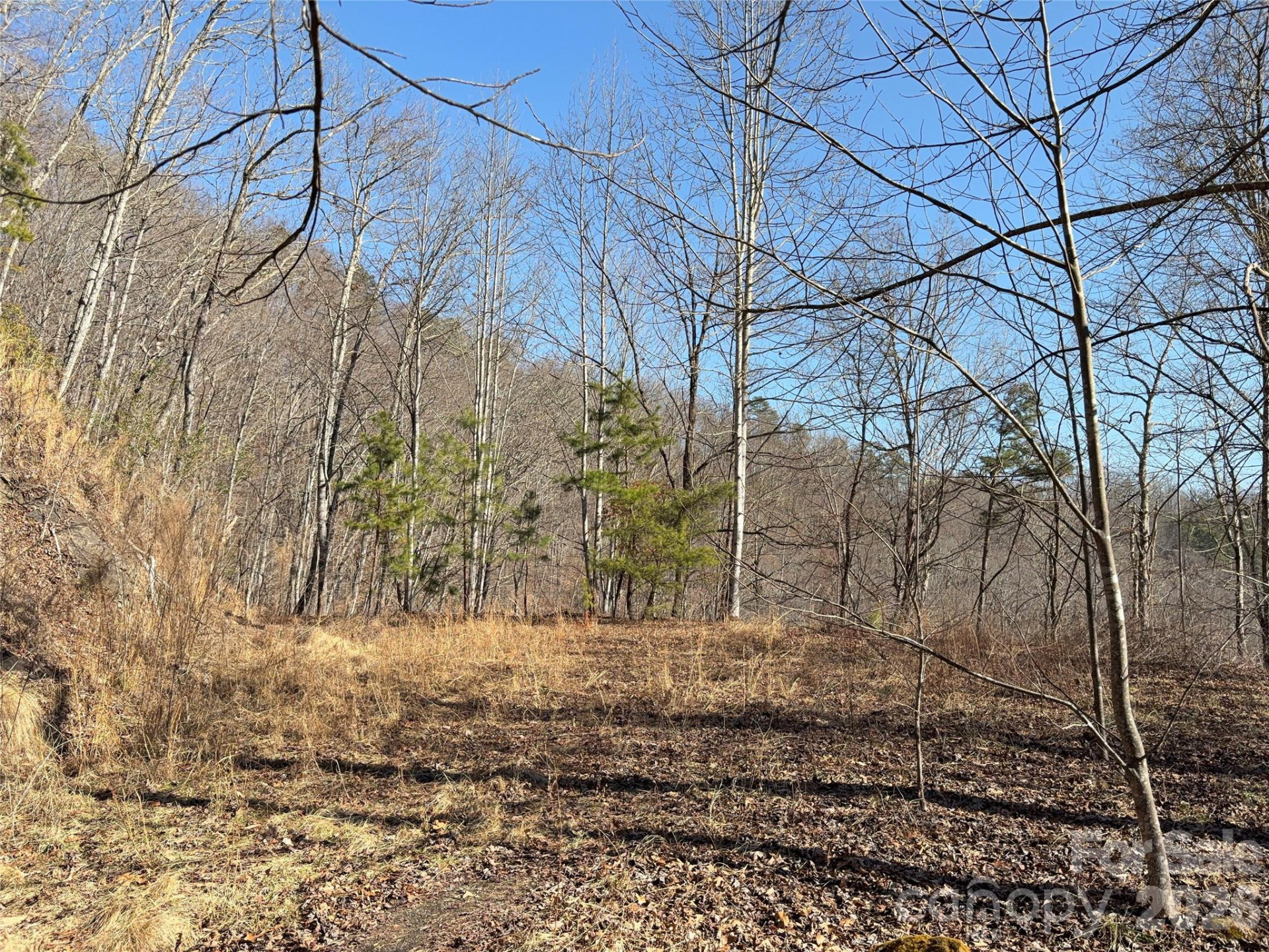 0 Brush Creek Road #37 & 41 - Photo 4