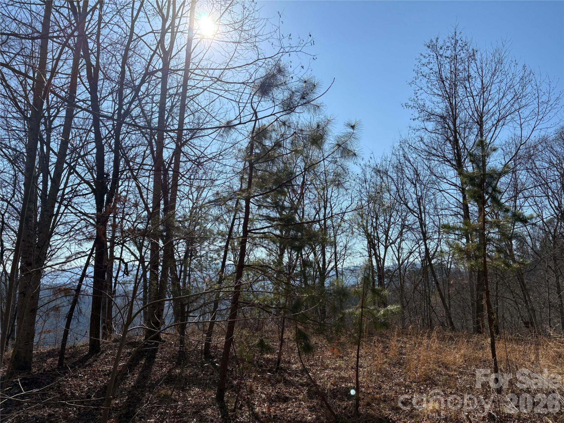 0 Brush Creek Road #37 & 41 - Photo 5