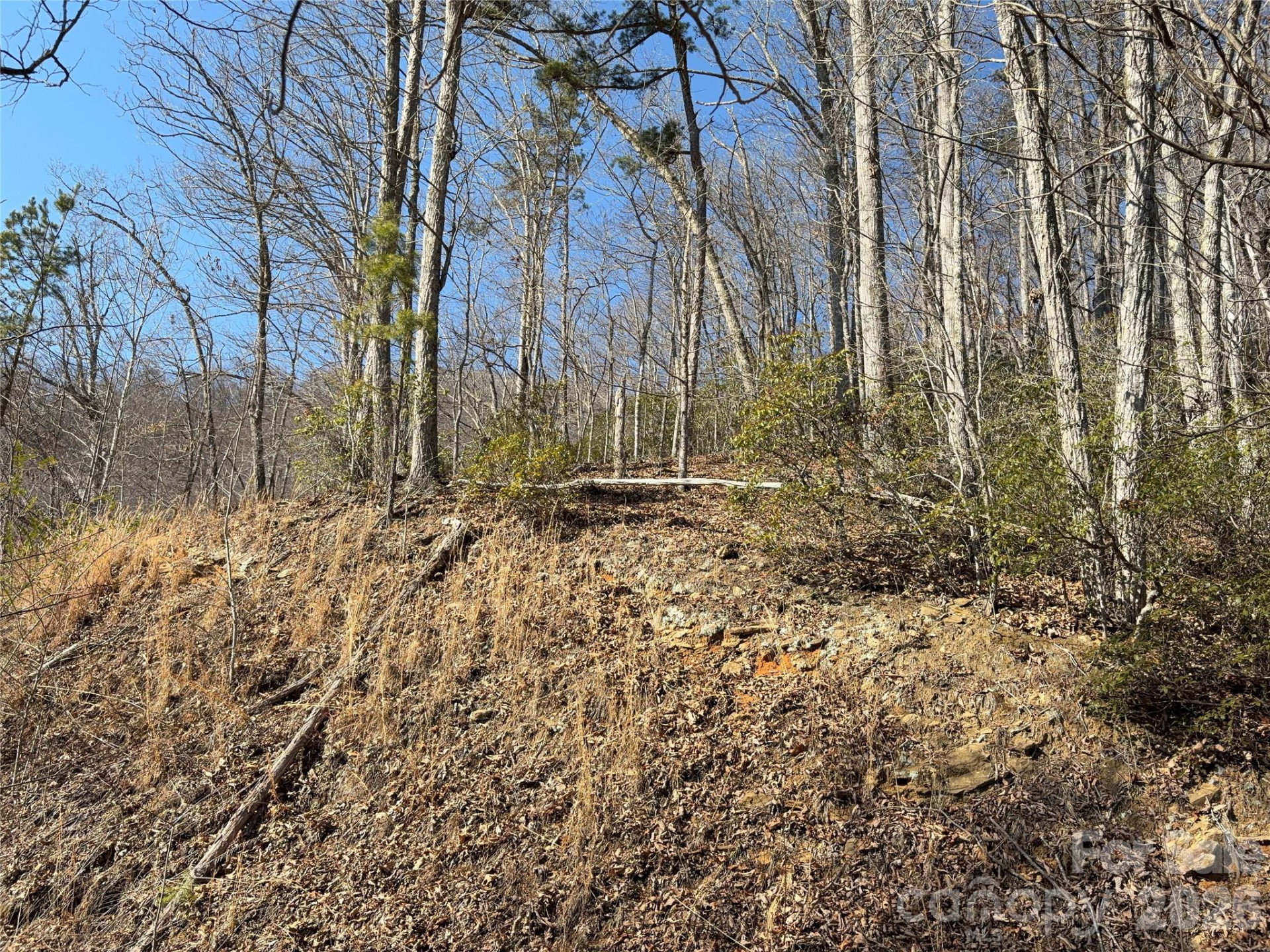 0 Brush Creek Road #37 & 41 - Photo 6
