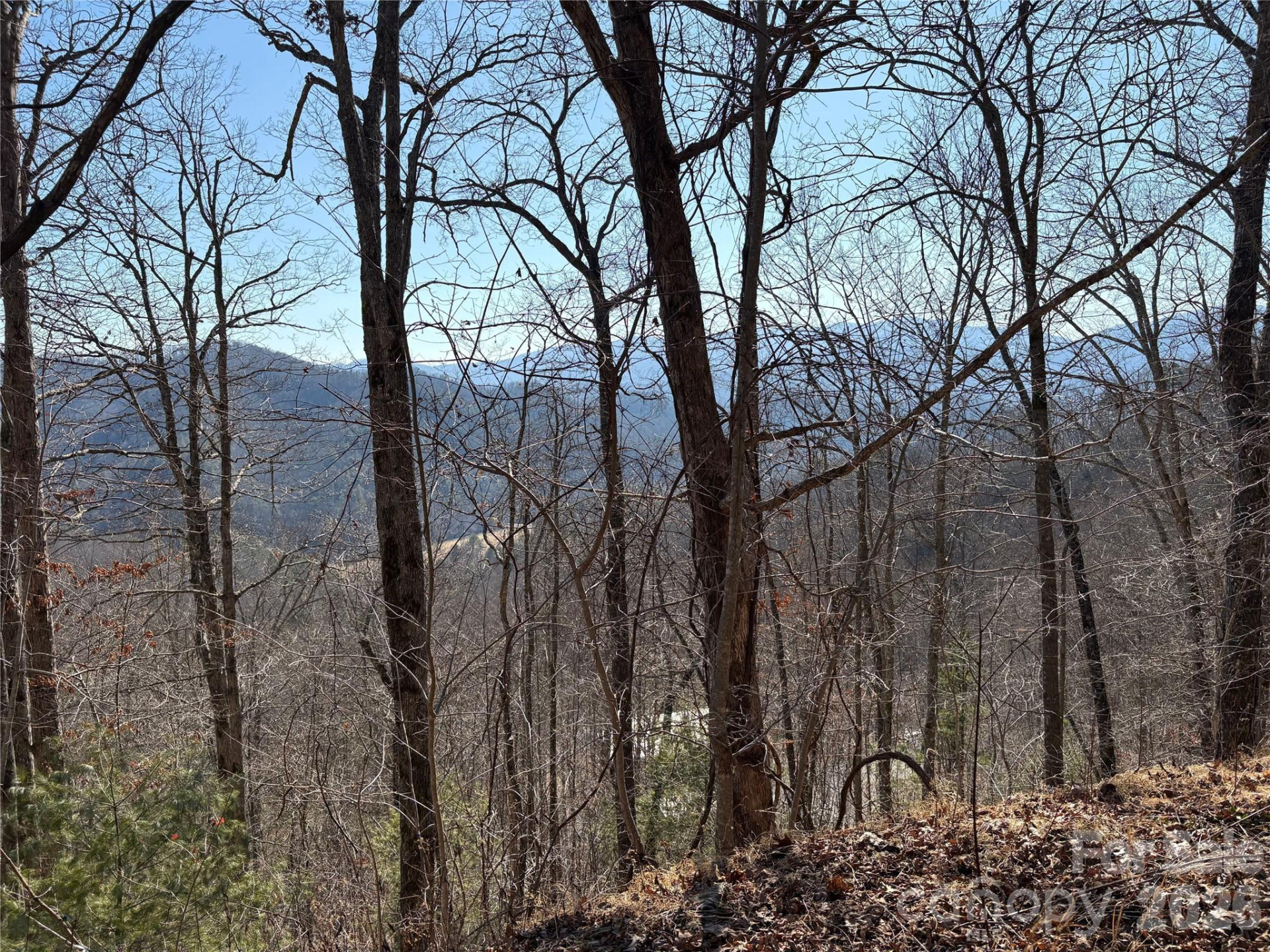 0 Brush Creek Road #37 & 41 - Photo 7