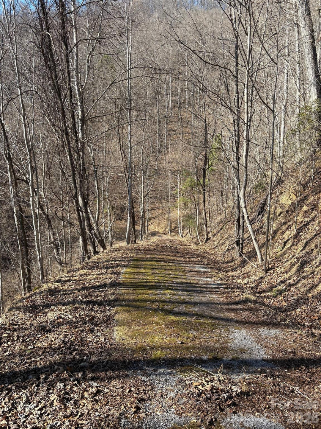 0 Brush Creek Road #37 & 41 - Photo 8