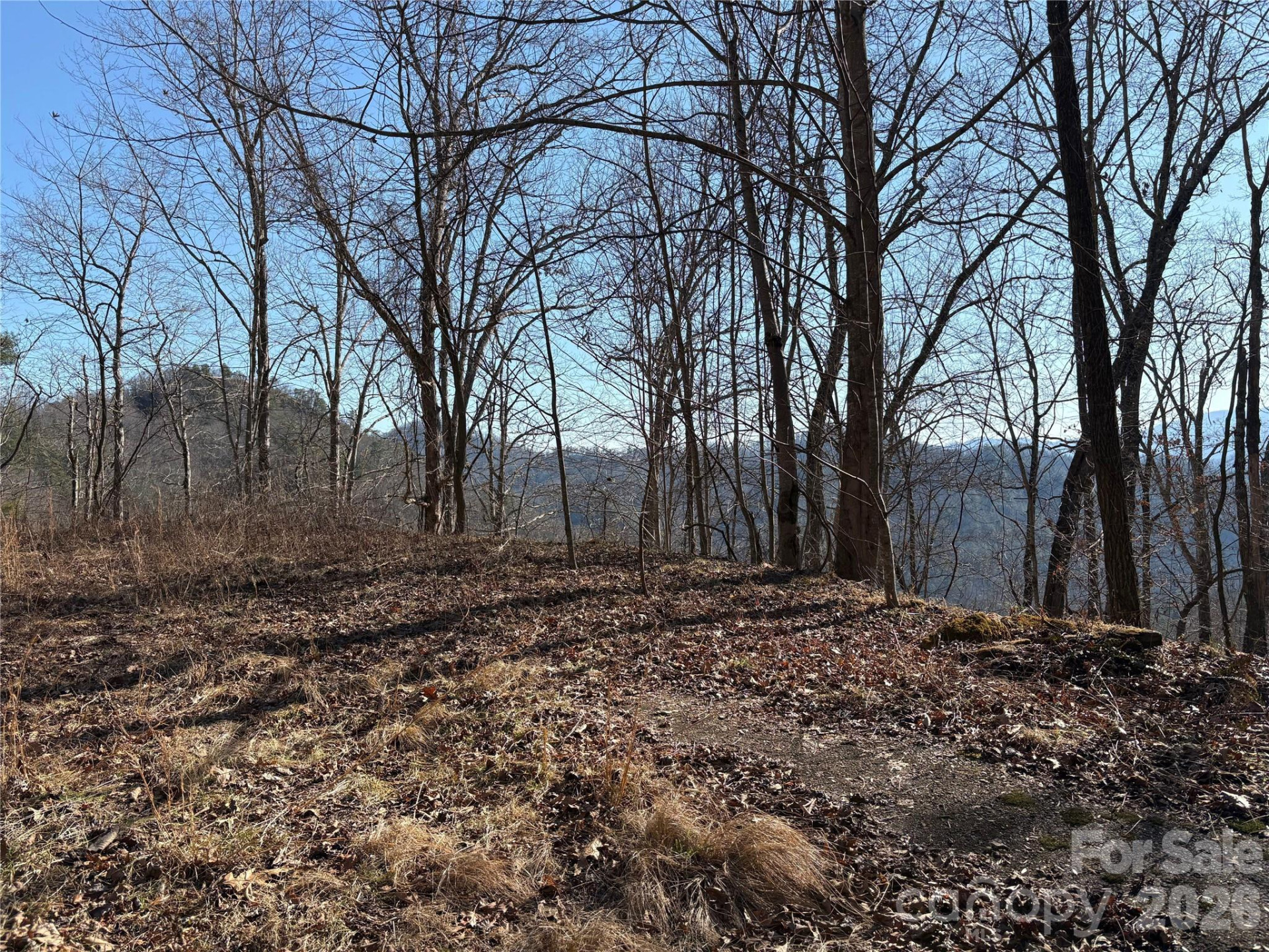 0 Brush Creek Road #37 & 41 - Photo 9